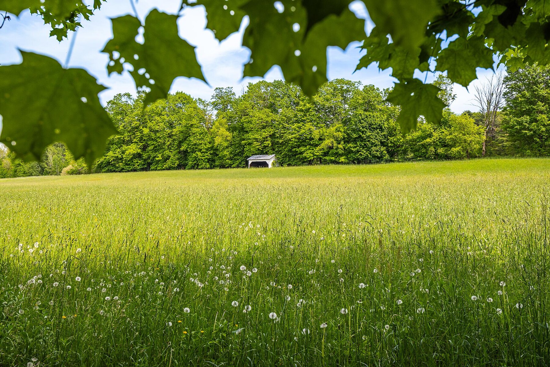 Dunham, Eastern Townships - 物件實景