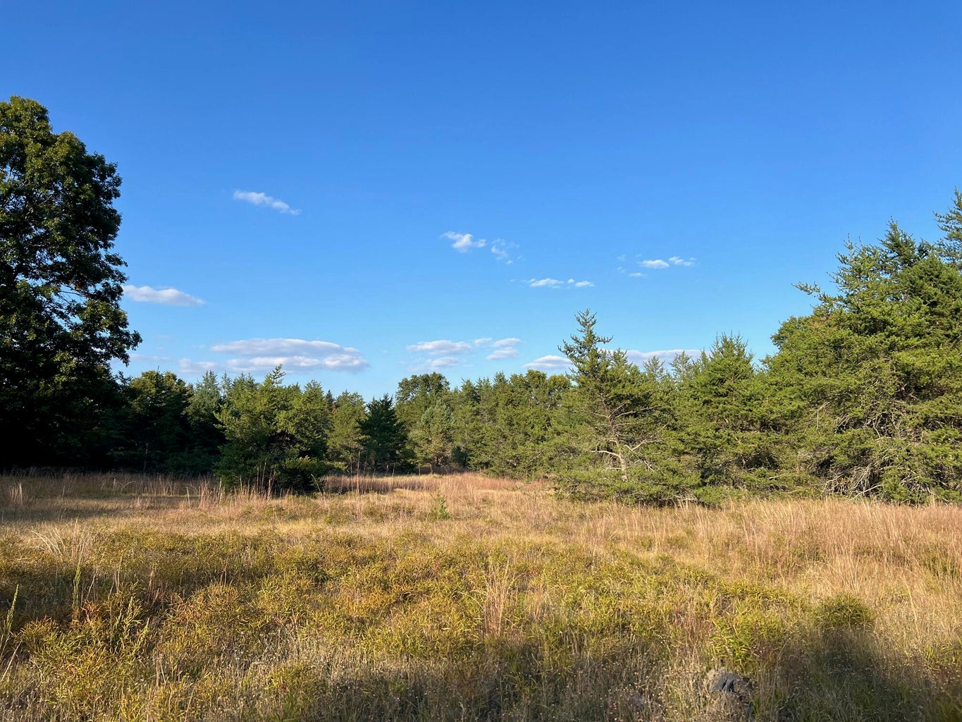 Baldwin, Michigan, 49304, United States, 3 Bedrooms Bedrooms, ,2 BathroomsBathrooms,Residential,For Sale,1990507