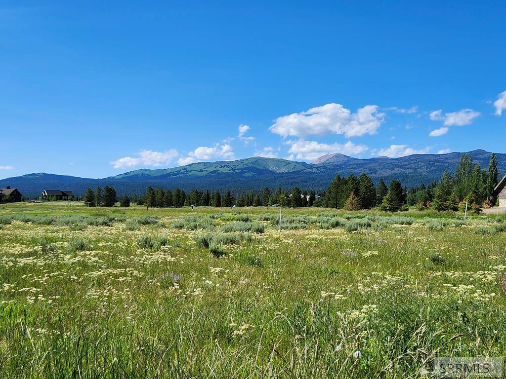 ISLAND PARK, Idaho, 83429, United States, 7 Bedrooms Bedrooms, ,7 BathroomsBathrooms,Residential,For Sale,1979593