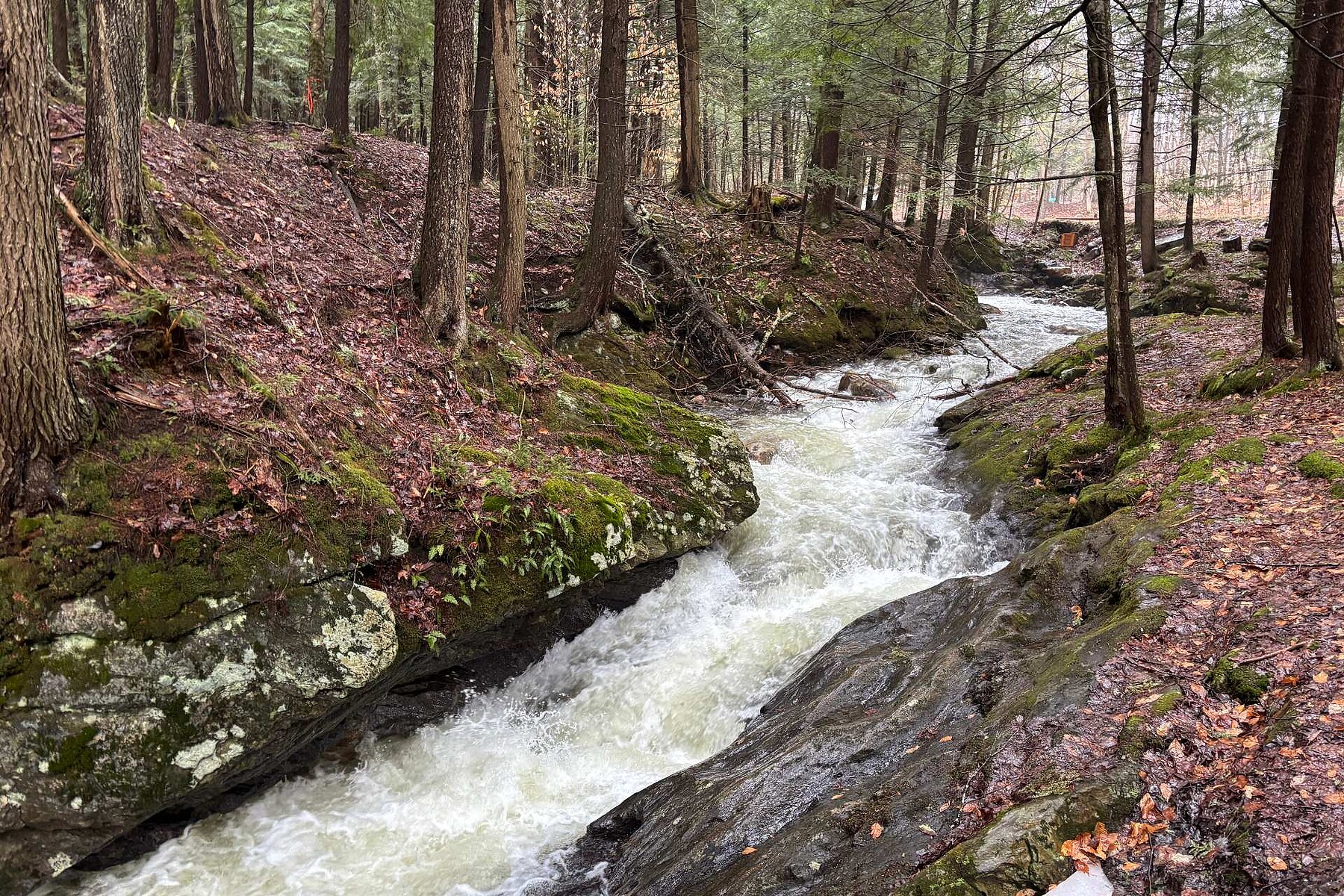  Sutton, Eastern Townships - 物件實景