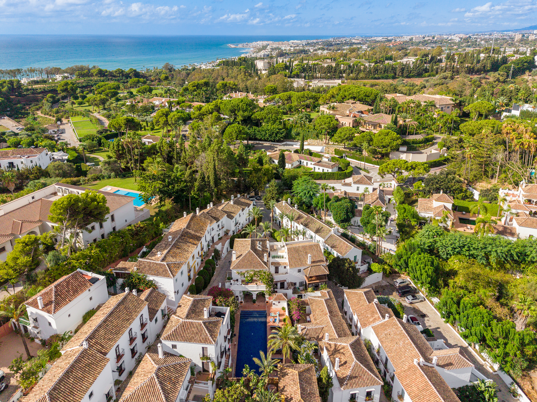  Artisan Masterpiece in an Exclusive Golden Mile Community - 物件實景