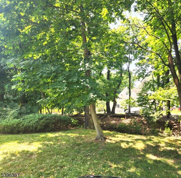 Fanwood Boro, New Jersey, 07023, United States, 4 Bedrooms Bedrooms, ,2 BathroomsBathrooms,Residential,For Sale,1991828