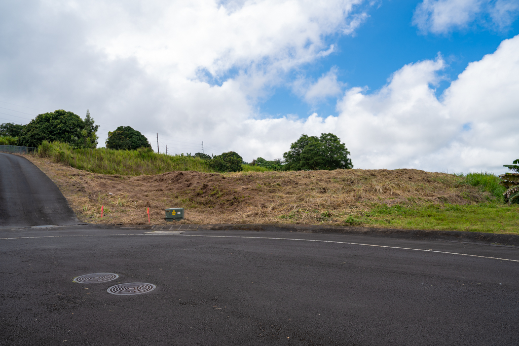 Kailua Kona, Hawaii, 96740, United States, ,Land,For Sale,1993447