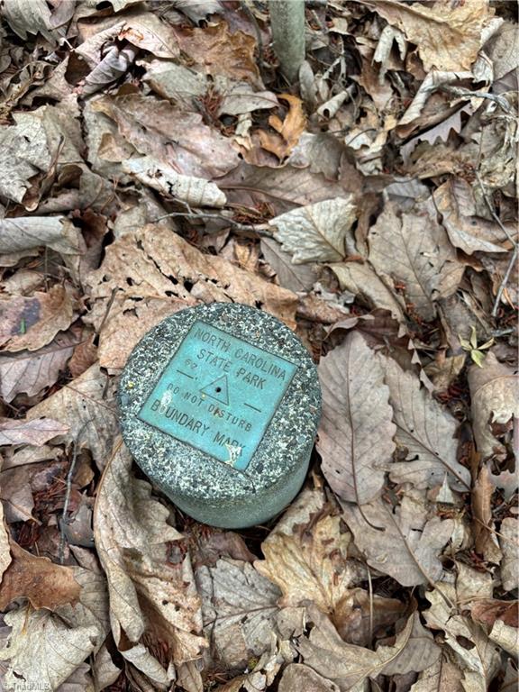 Pinnacle, North Carolina, 27043, United States, ,Land,For Sale,1829534