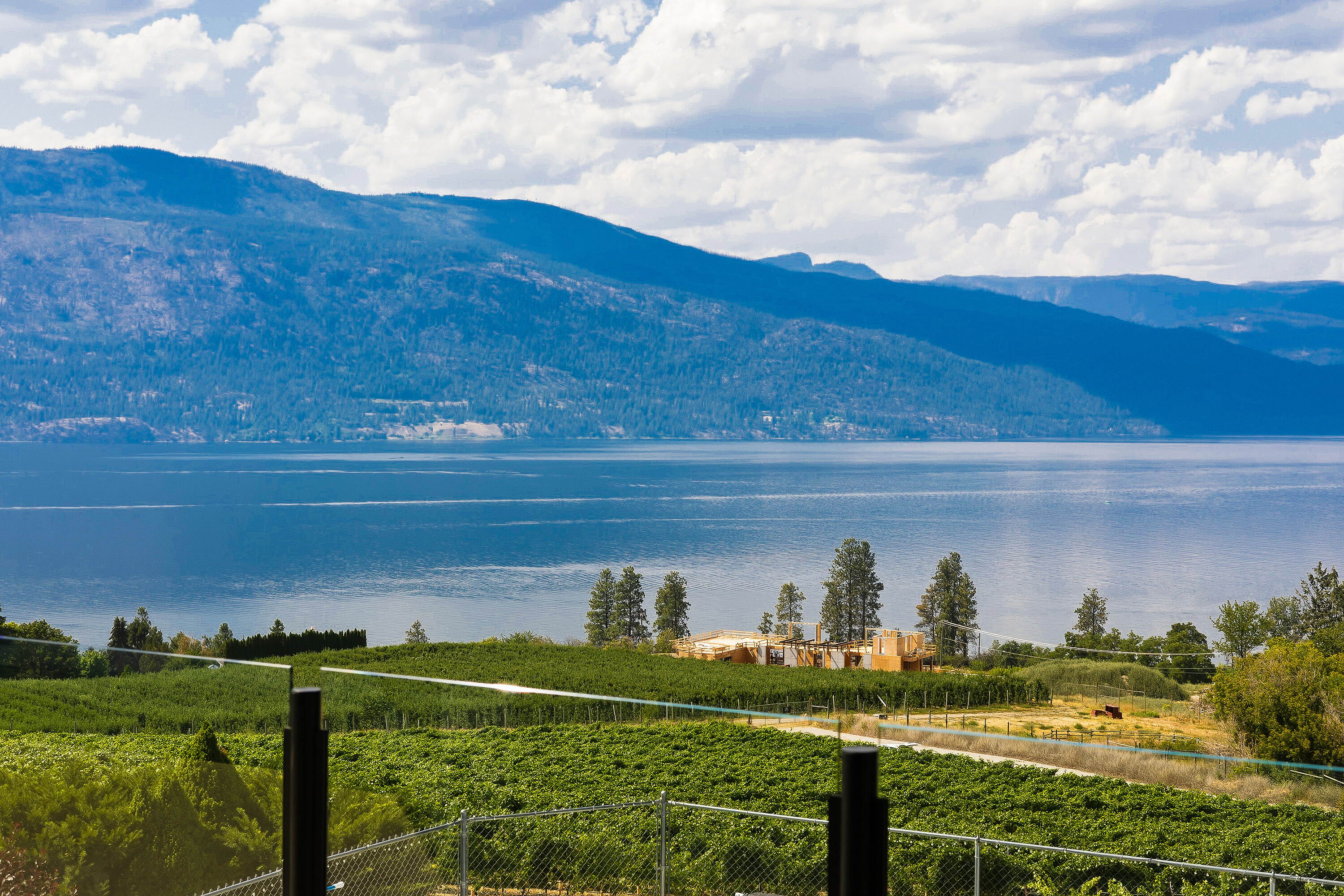  Scenic Vineyard Home - 物件實景