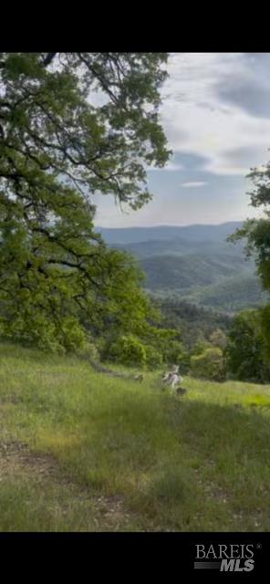 Covelo, California, 95428, United States, ,Land,For Sale,1868572