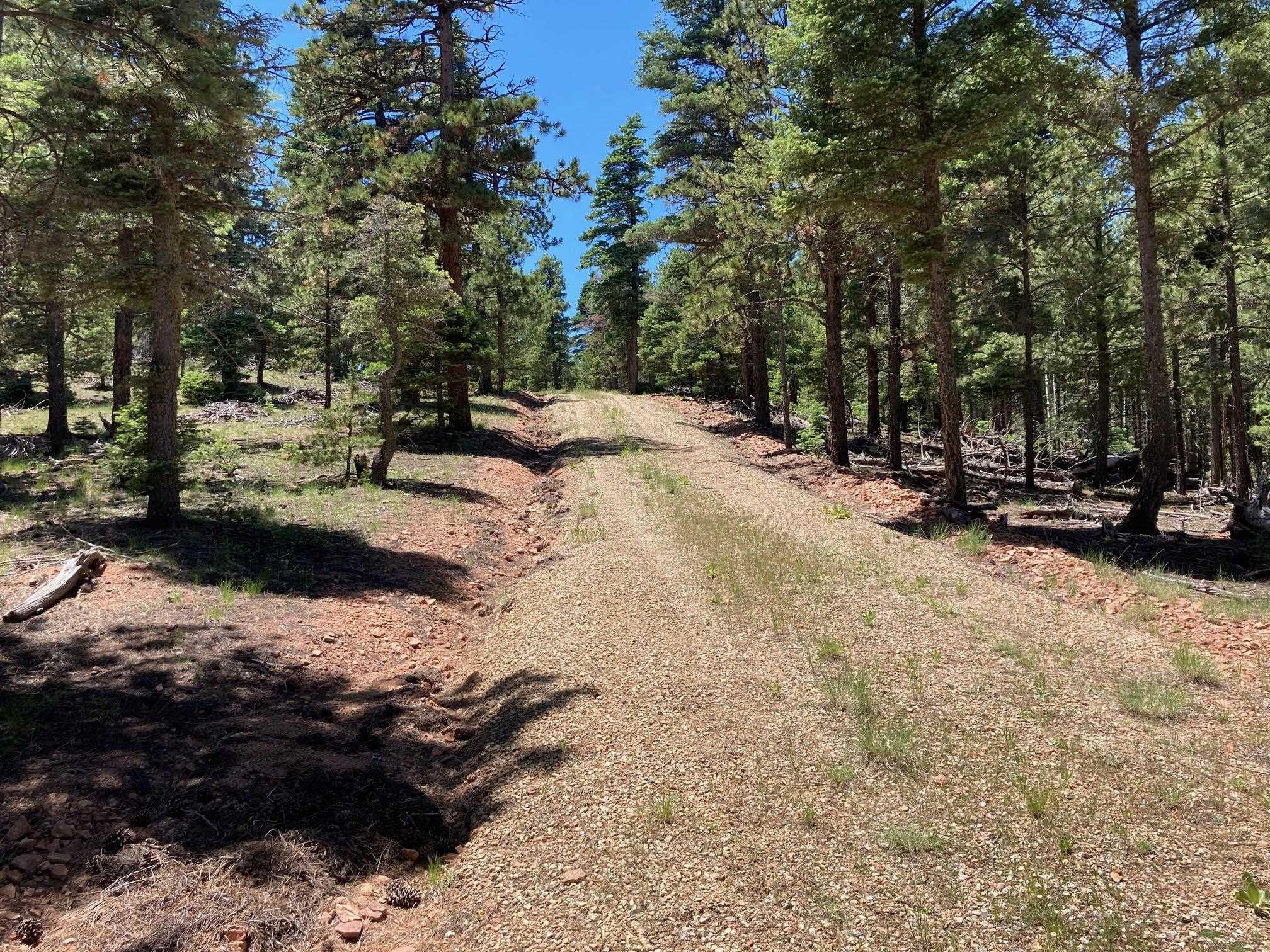 Eagle Nest, New Mexico, 87718, United States, ,Land,For Sale,1752253