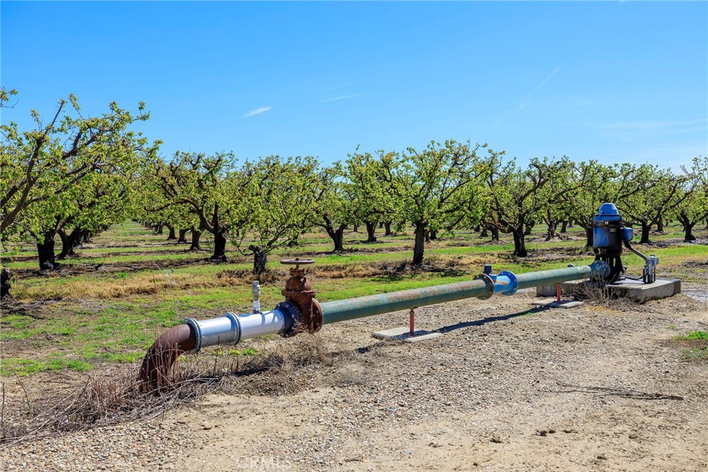 Patterson, California, 95360, United States, ,Residential,For Sale,1756473