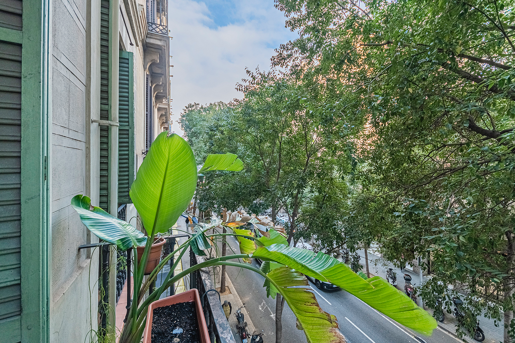  Flat renovated with quality next to Rambla Catalunya. - 物件實景