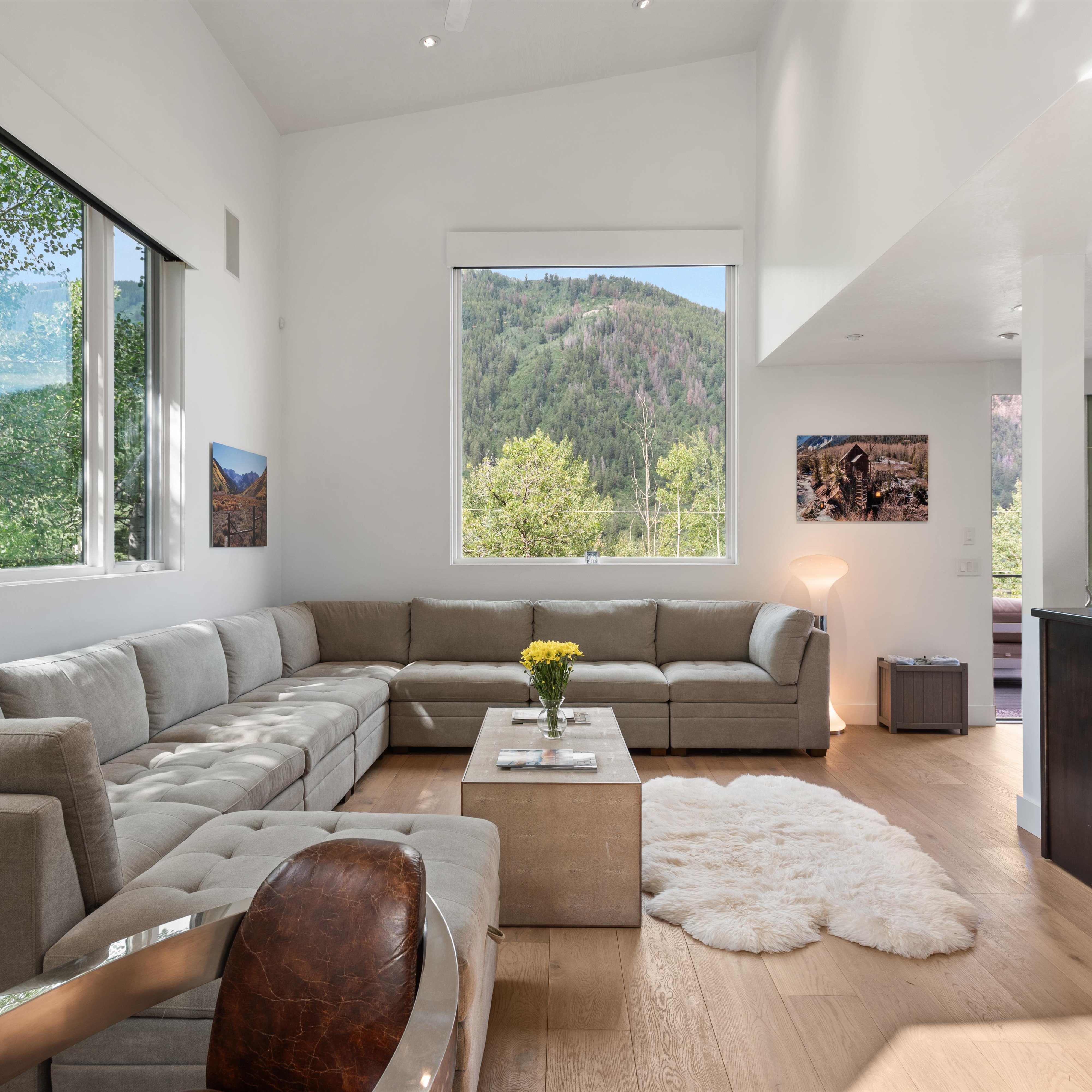  257 Mountain Laurel Drive, Aspen, CO, 81611 - 物件實景