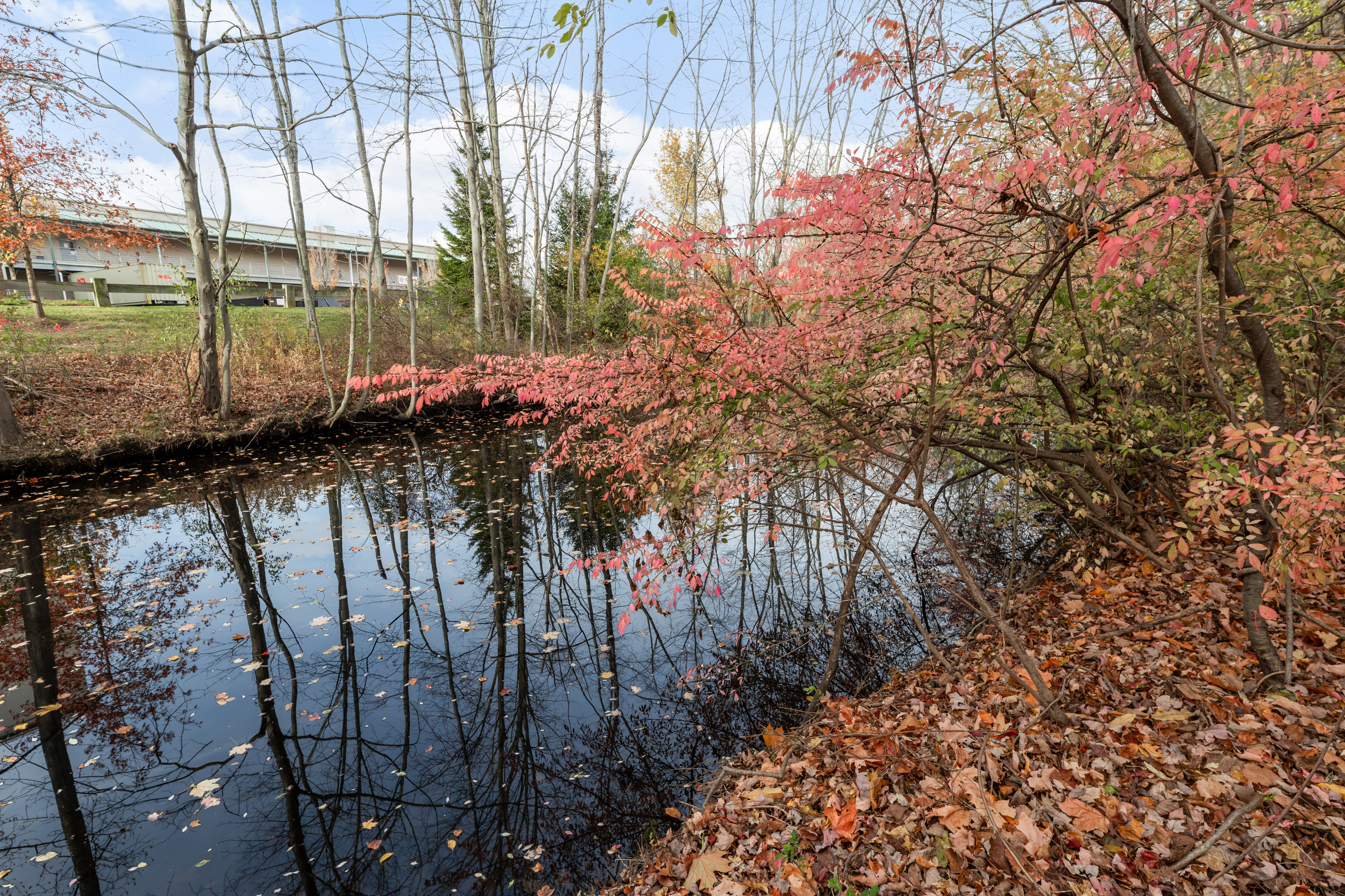 Milford, Connecticut, 06460, United States, 3 Bedrooms Bedrooms, ,3 BathroomsBathrooms,Residential,For Sale,1991692