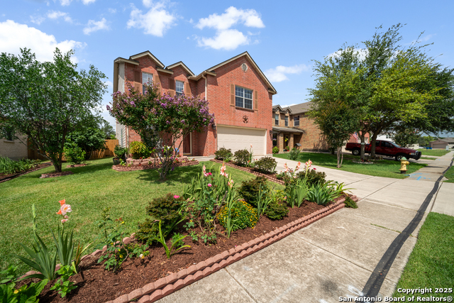 Cedar Farm , San Antonio, TX 78239 #1