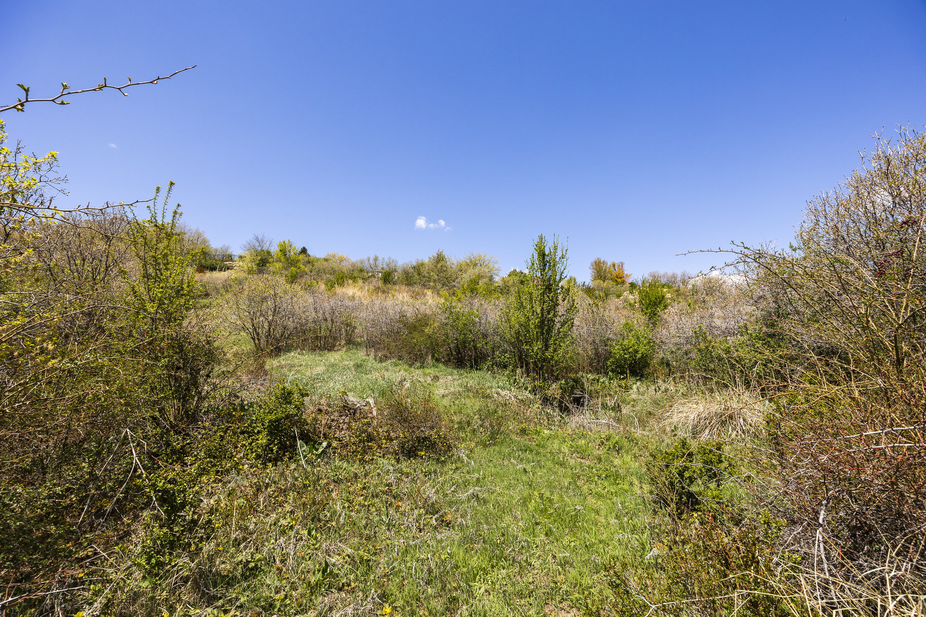  1.47 Acre Lot In East Layton With Endless Possibilities - 物件實景