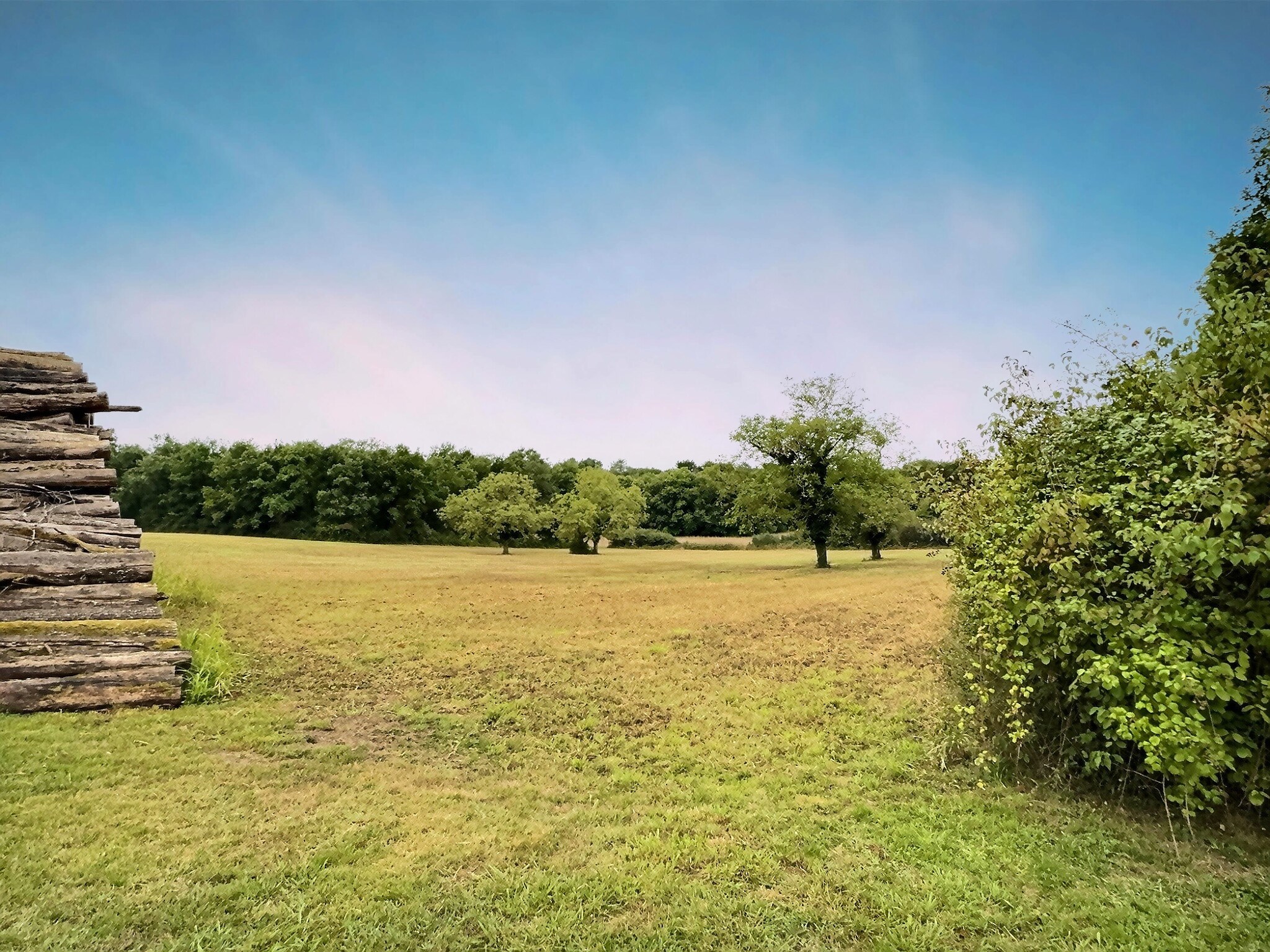 Loire Valley - Near Amboise / Tours - Exceptional Forest Estate – 180 hectares - 物件實景