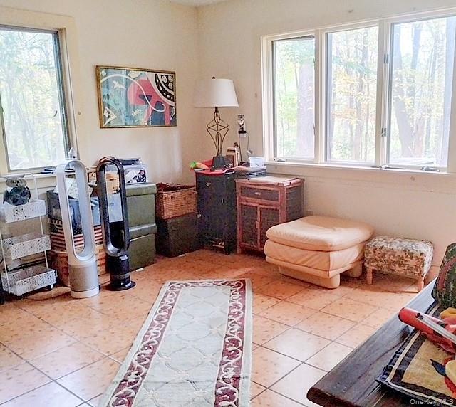 New Paltz, New York, 12561, United States, 3 Bedrooms Bedrooms, ,3 BathroomsBathrooms,Residential,For Sale,1975428