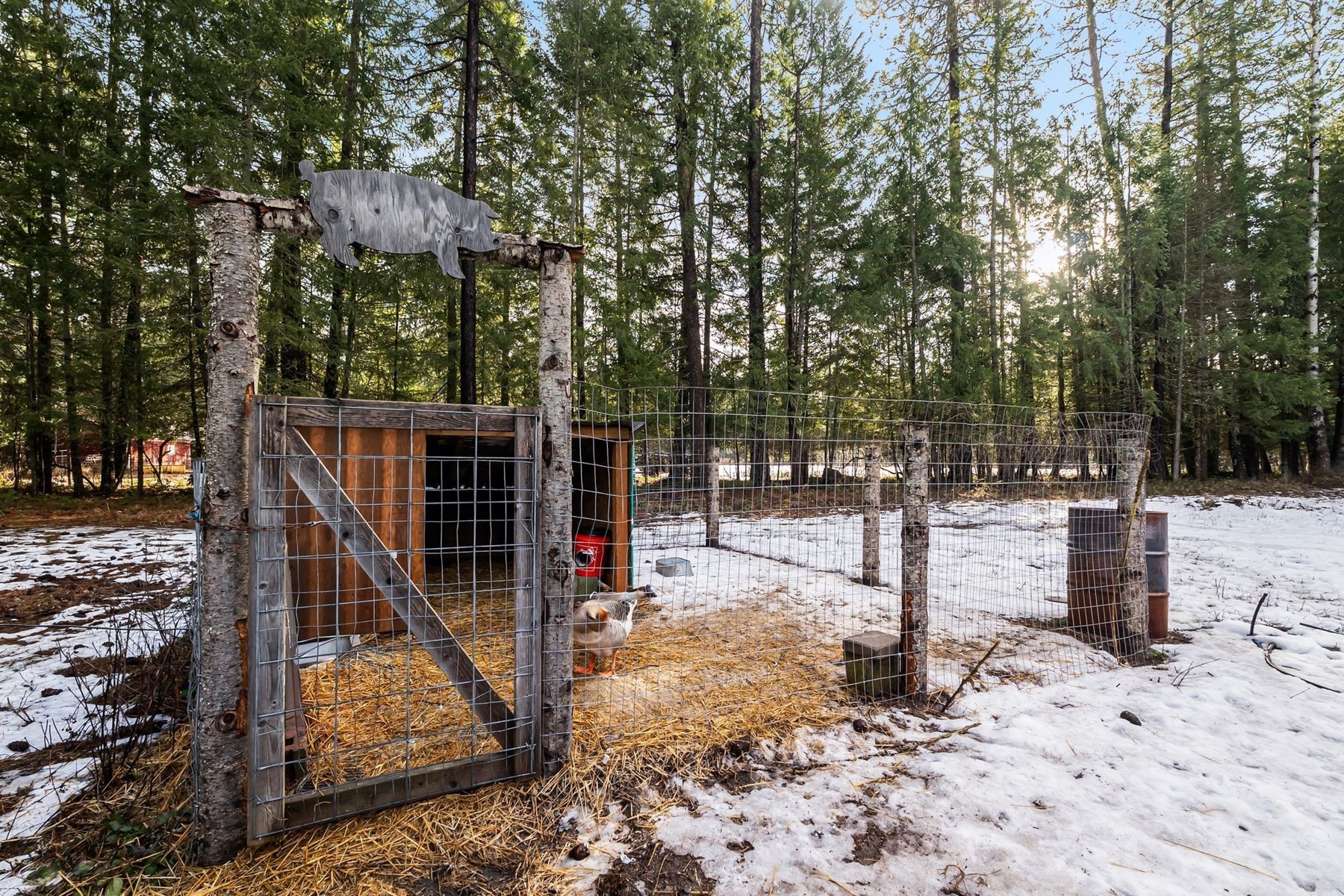  Charming Country Home on 10 Acres - 物件實景