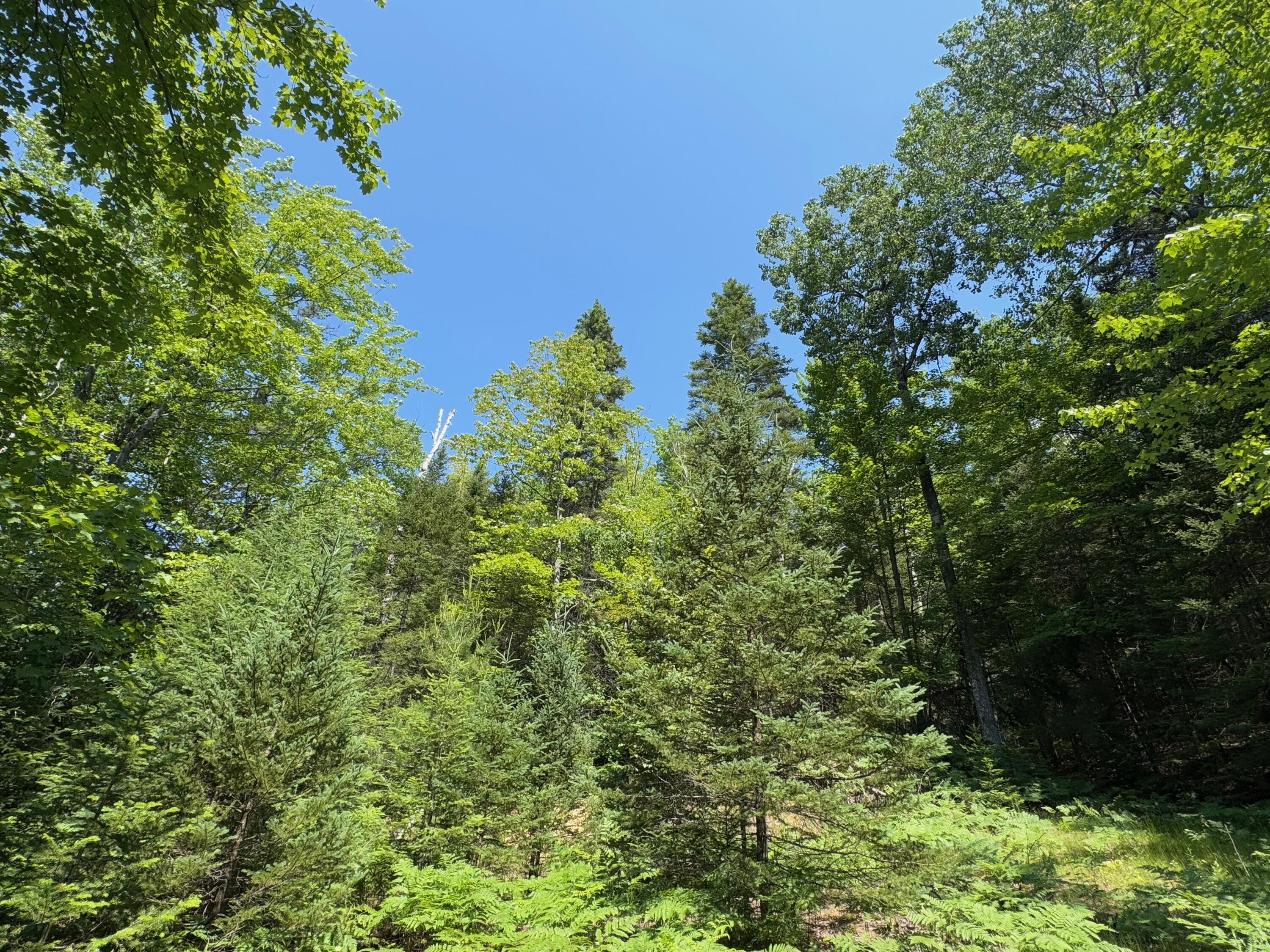 Wolverine, Michigan, 49799, United States, 2 Bedrooms Bedrooms, ,2 BathroomsBathrooms,Residential,For Sale,1885505