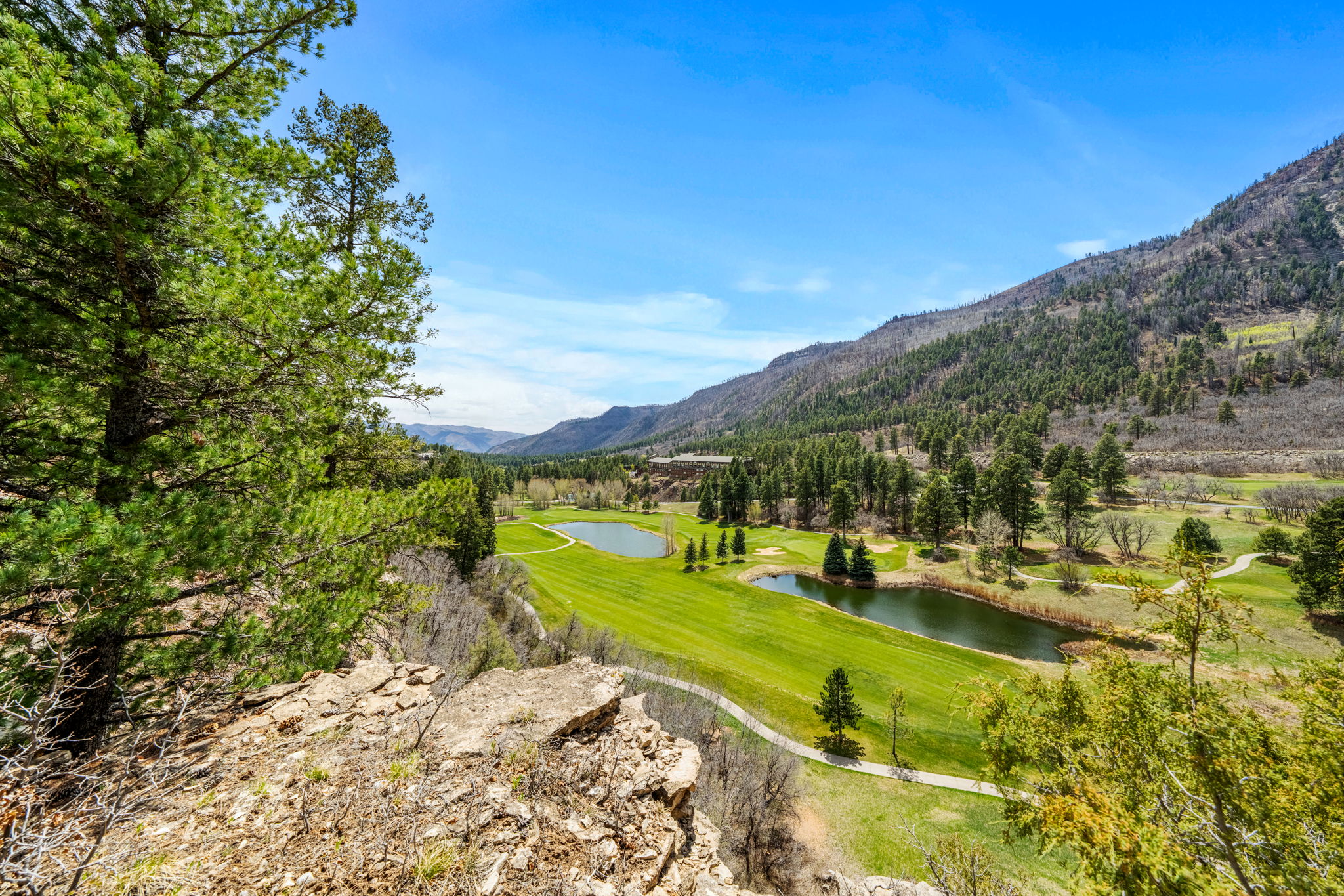  376 Glacier Club Drive, Durango, CO 81301 - 物件實景
