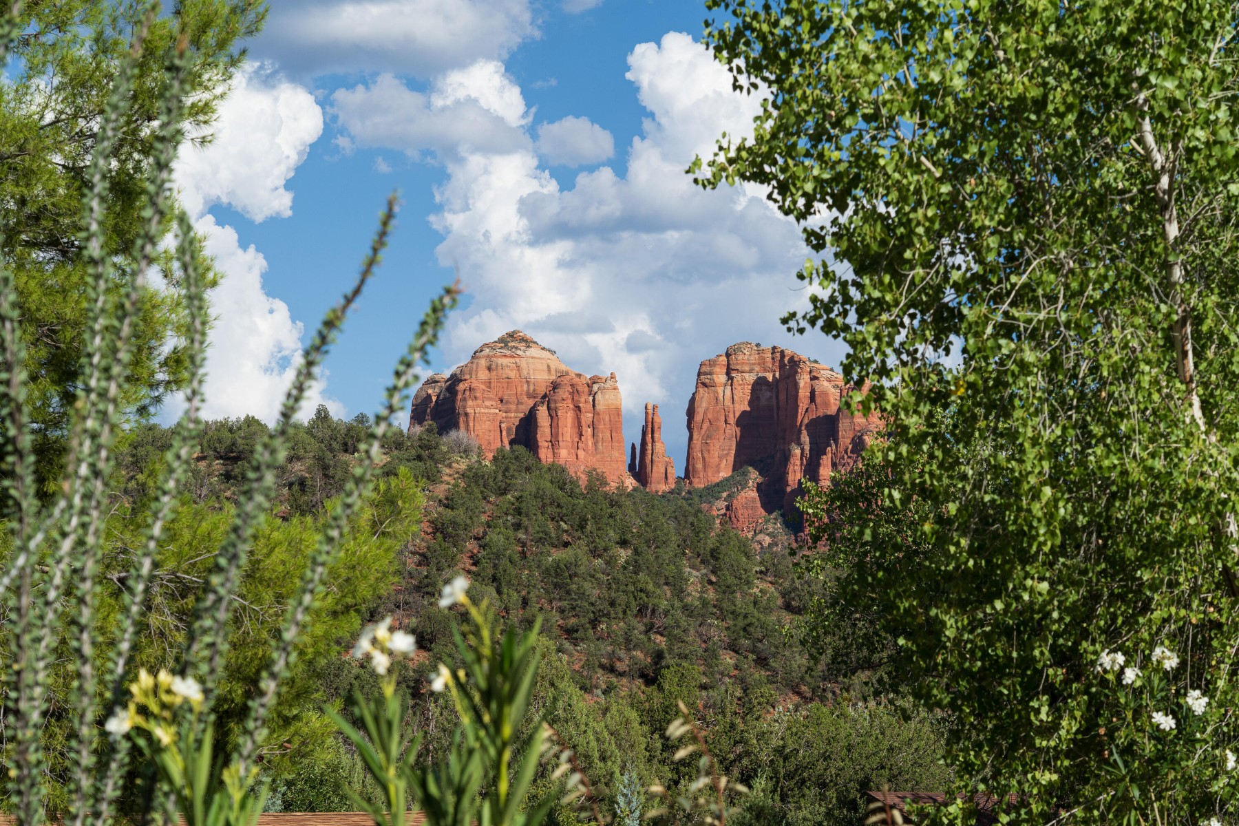  2030 Red Rock Loop Road¦Sedona, AZ - 物件實景