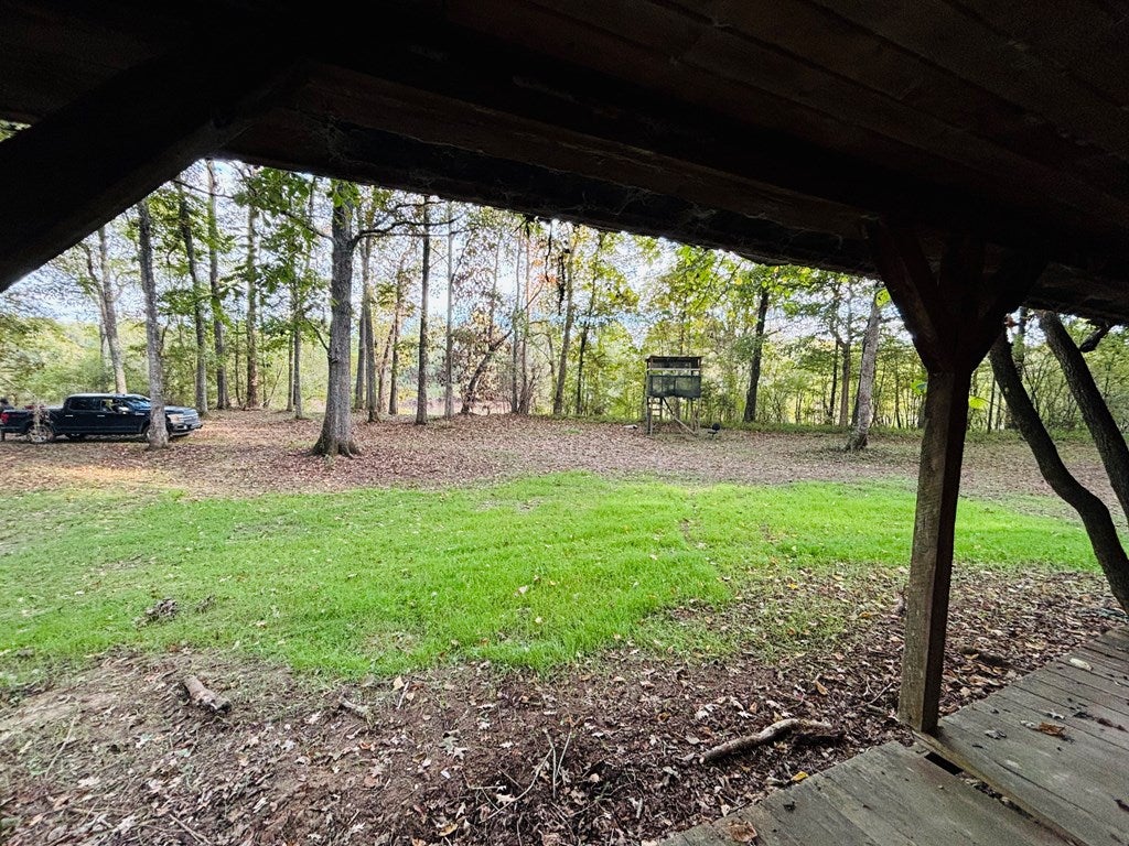 Abbeville, Georgia, 31001, United States, ,Land,For Sale,1975130