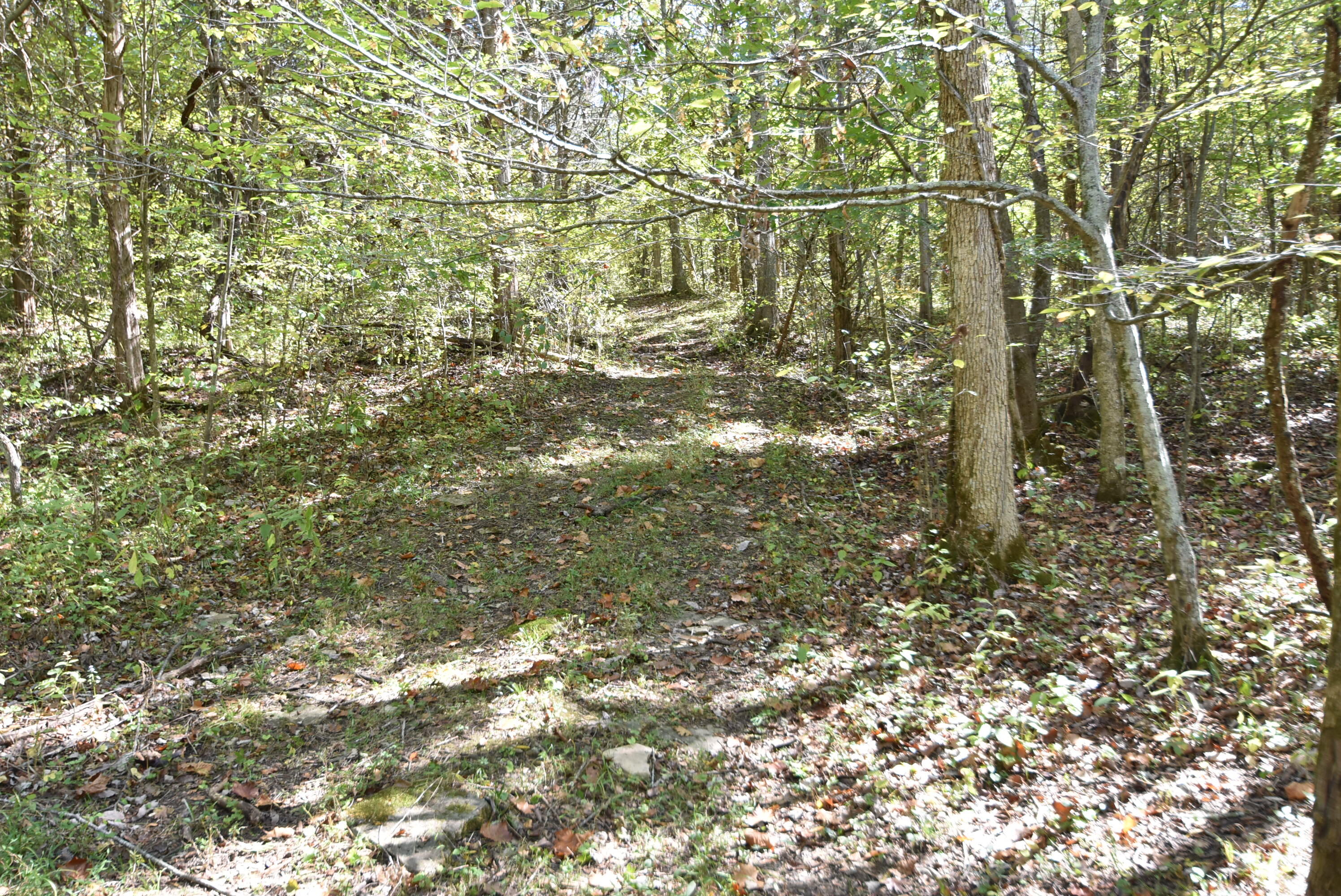 Willisburg, Kentucky, 40078, United States, 4 Bedrooms Bedrooms, ,1 BathroomBathrooms,Residential,For Sale,1962831