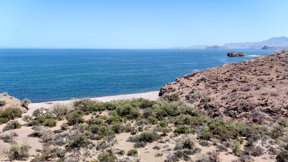 Sin calle, La Danzante, Baja California Sur, 23895, Mexico, 1 Bedroom Bedrooms, ,Residential,For Sale,Sin calle,1640305
