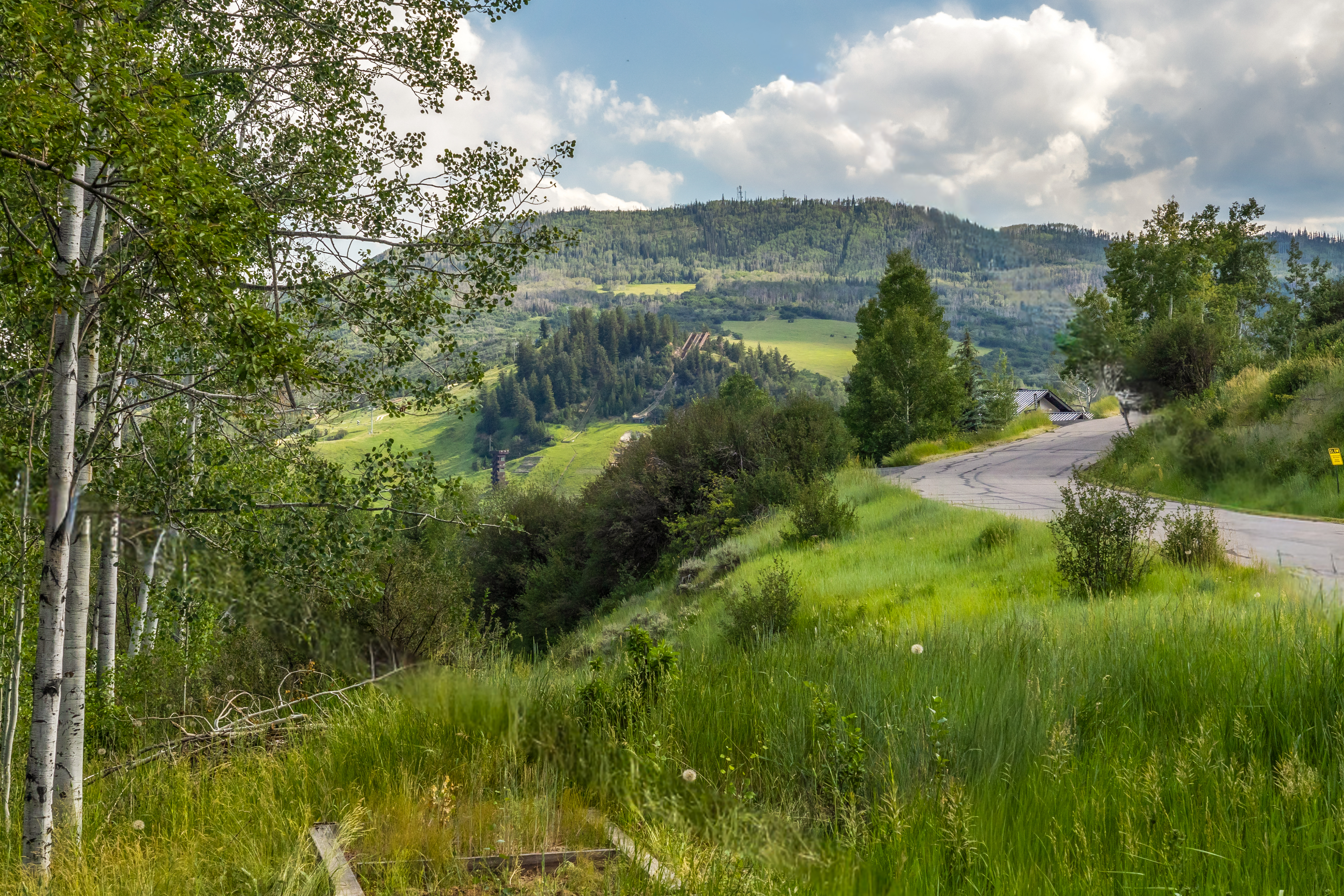  1141 Thornburg Street, Steamboat Springs, CO, 80487 - 物件實景