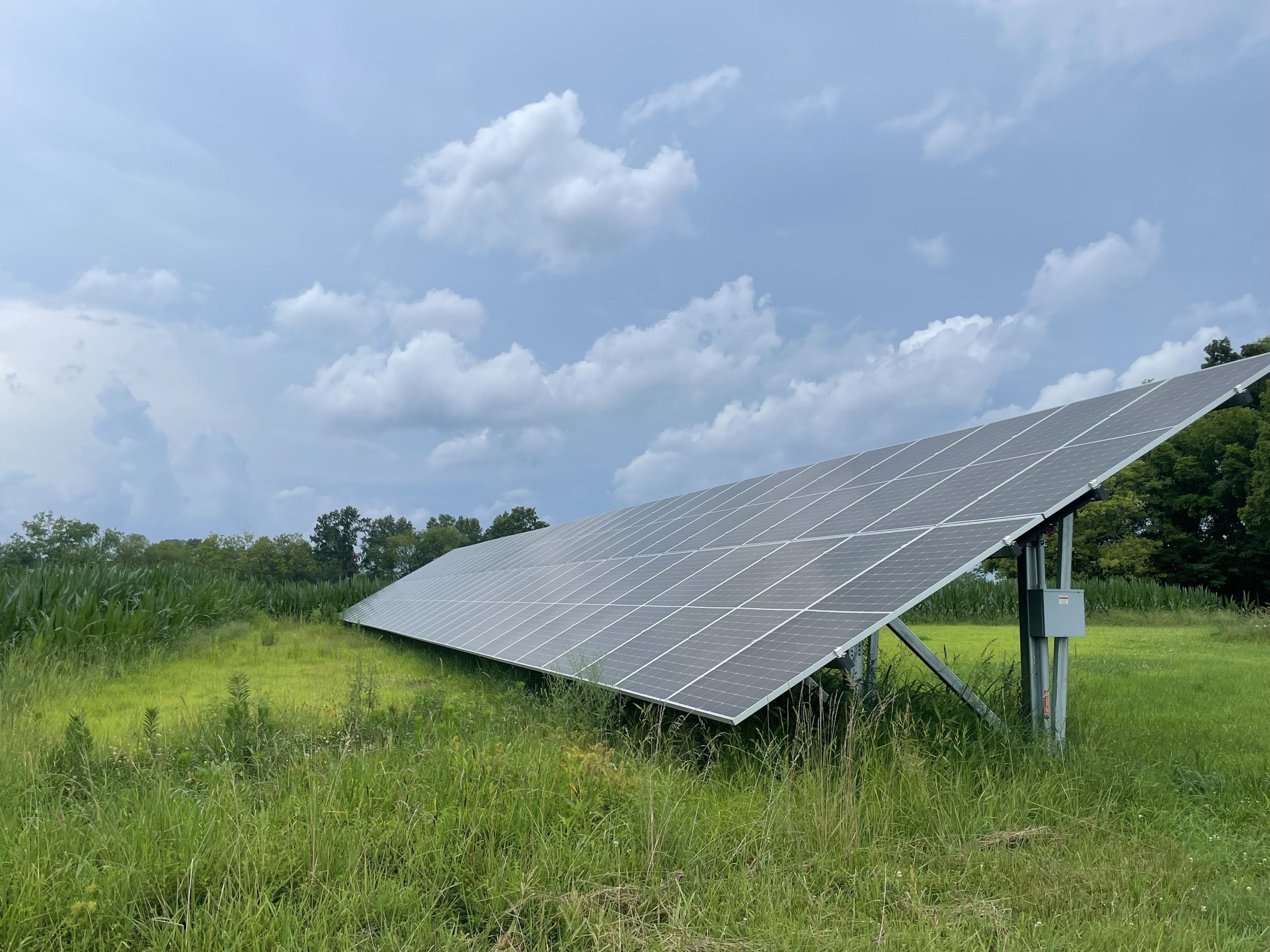 Murphysboro, Illinois, 62966, United States, 5 Bedrooms Bedrooms, ,6 BathroomsBathrooms,Residential,For Sale,1977081