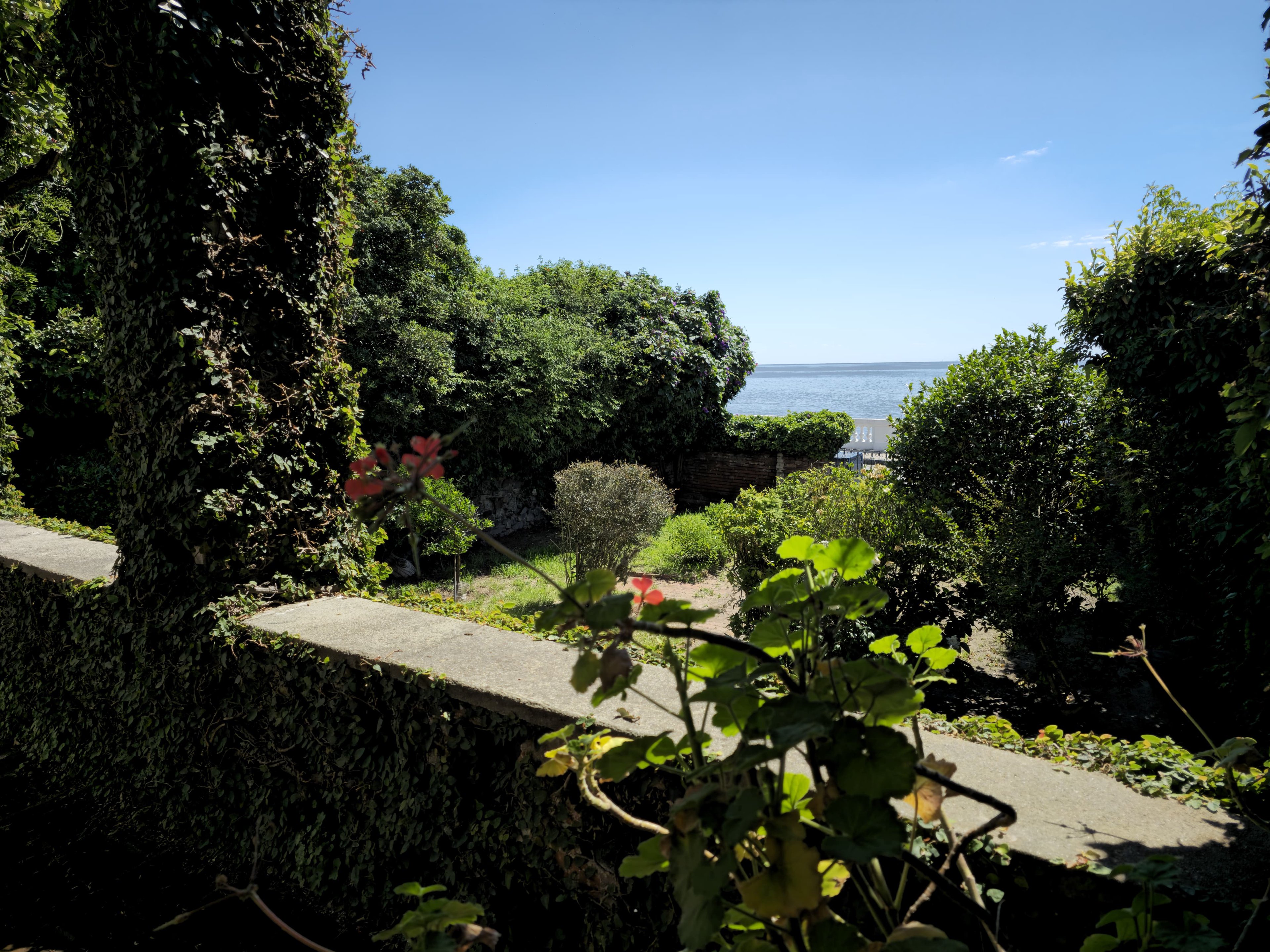  Orange Tree in Bloom - 物件實景