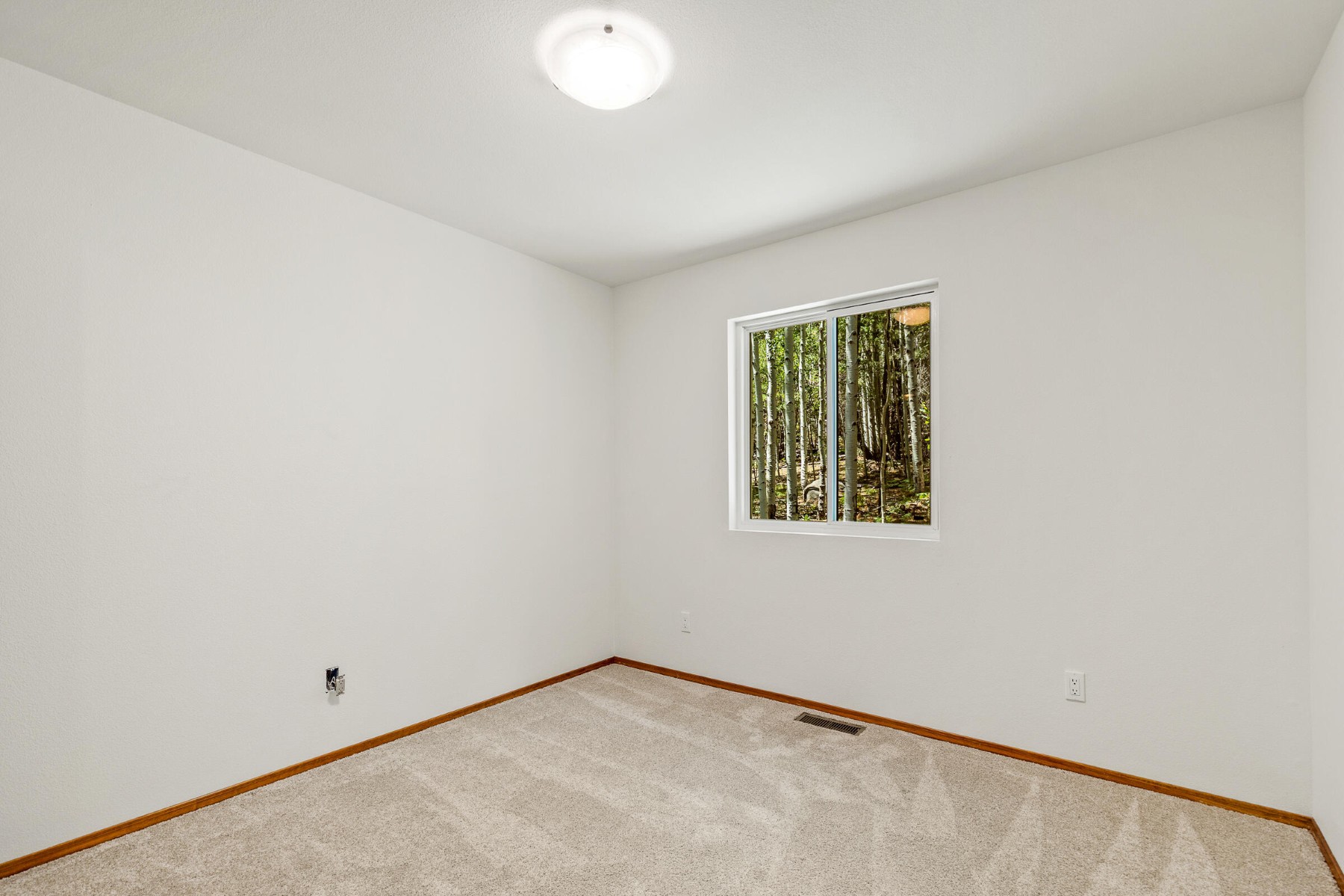  17787 N Forest Service 9004t Road ¦ Flagstaff, AZ - 物件實景