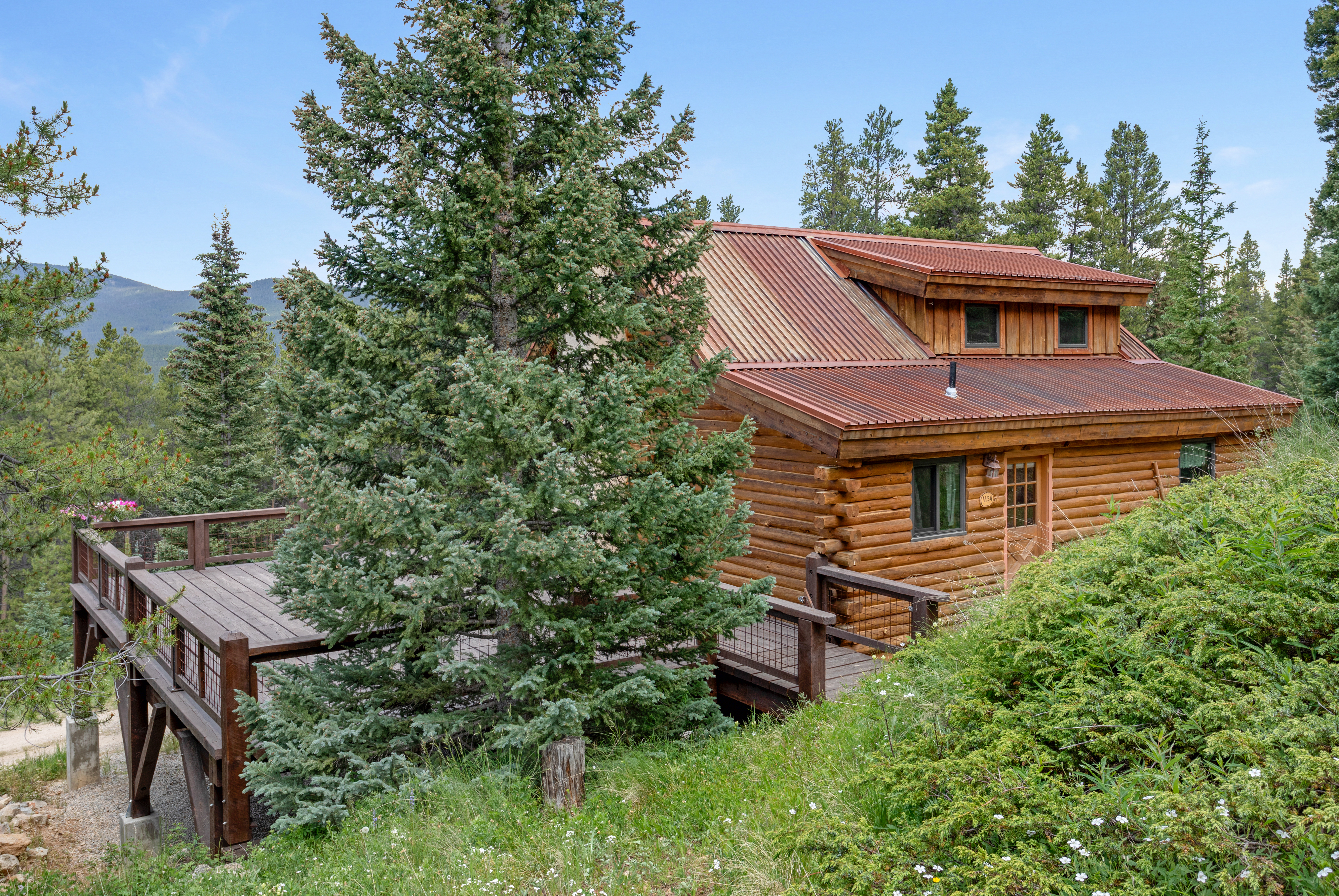  30 Fiddler Creek Road,Red Cliff, CO, 81649 - 物件實景