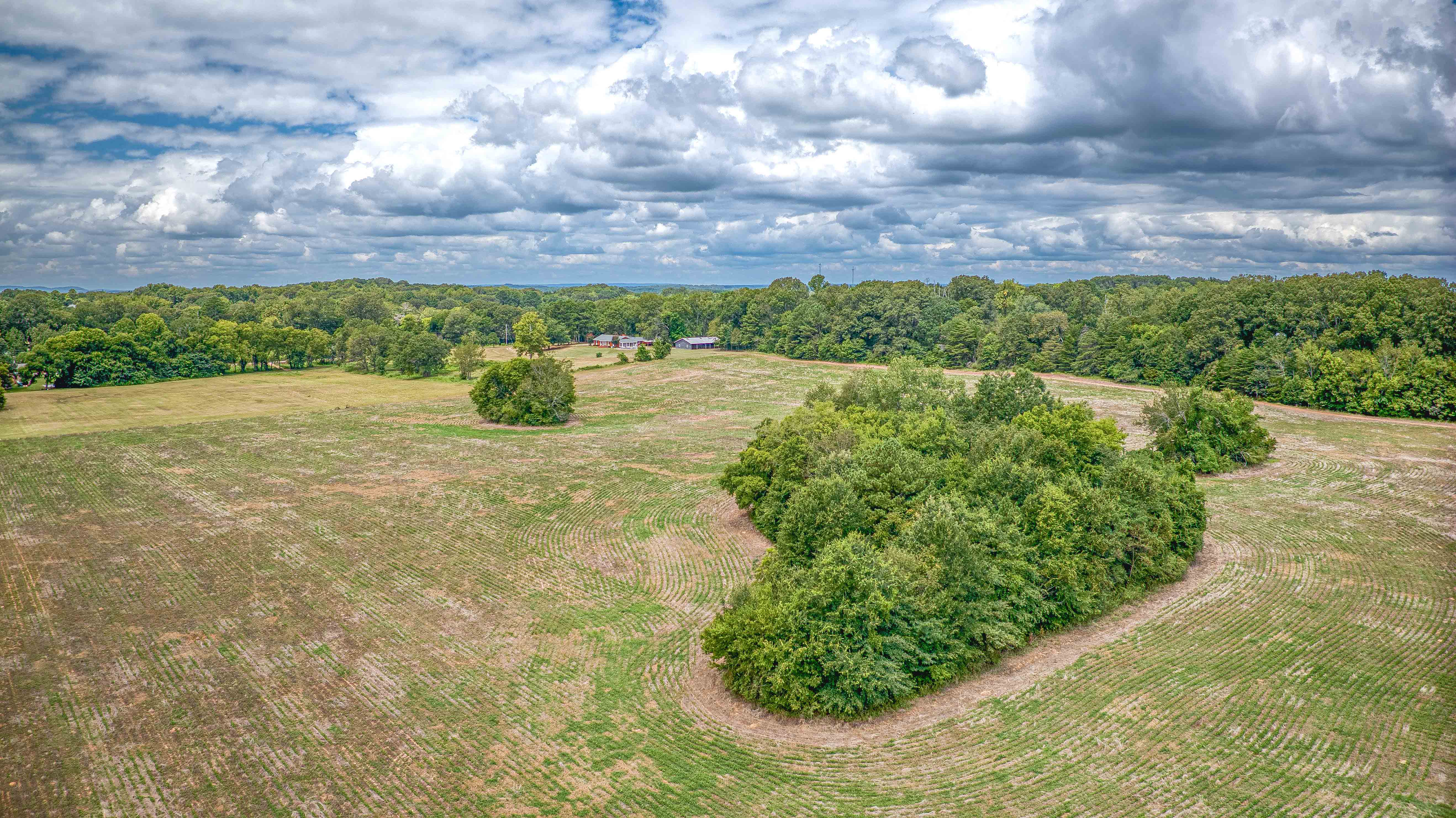 Tuscumbia, Alabama, 35674, United States, ,Land,For Sale,1976669