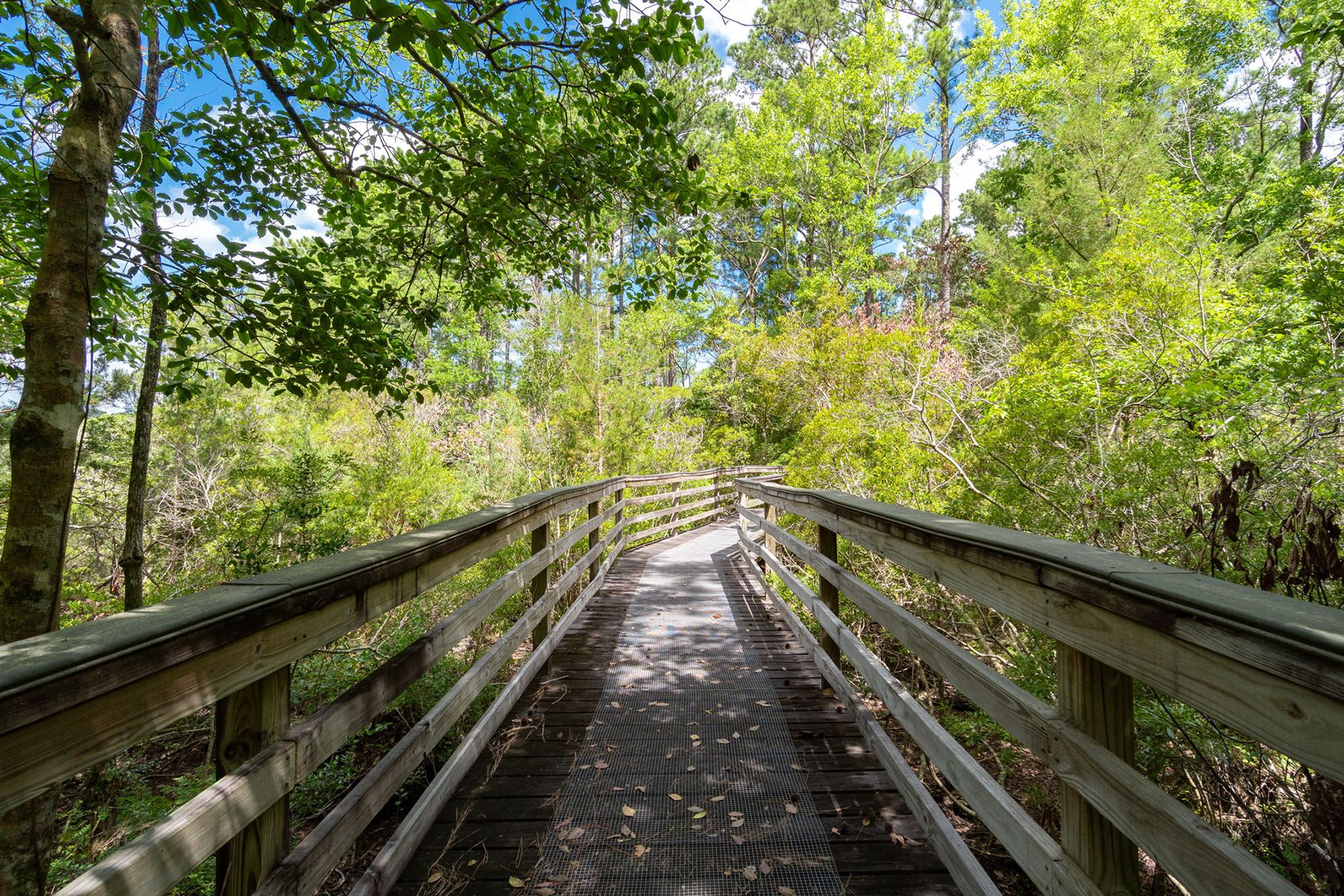  418 Vicksburg Court, Havelock, NC 28532 - 物件實景