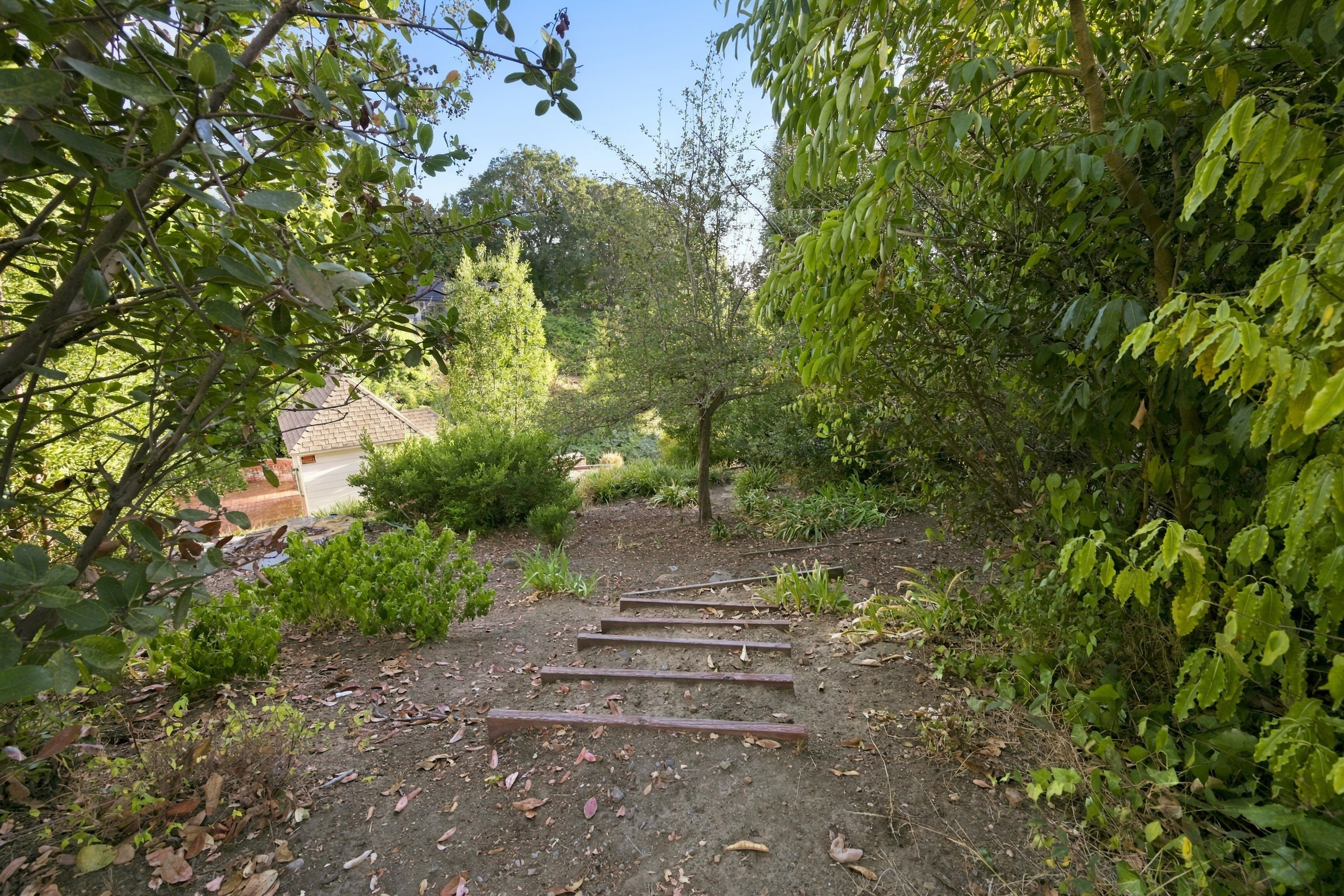  Rare Piedmont Build Opportunity with Scenic Views and Plans in Place - 物件實景