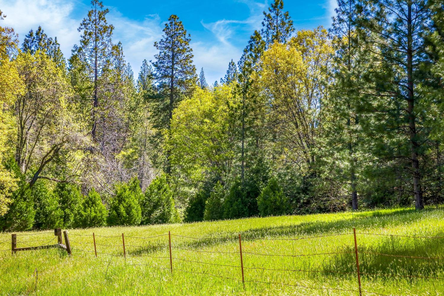 Mountain Ranch, California, 95246, United States, 1 Bedroom Bedrooms, ,1 BathroomBathrooms,Residential,For Sale,1982993