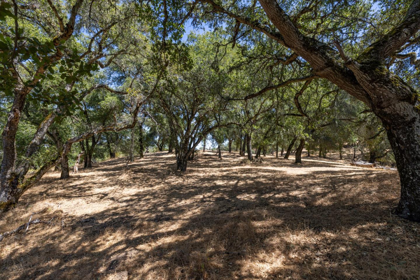 9 Long Ridge Trl, Carmel, California, 93923, United States, ,Land,For Sale,9 Long Ridge Trl,1663124