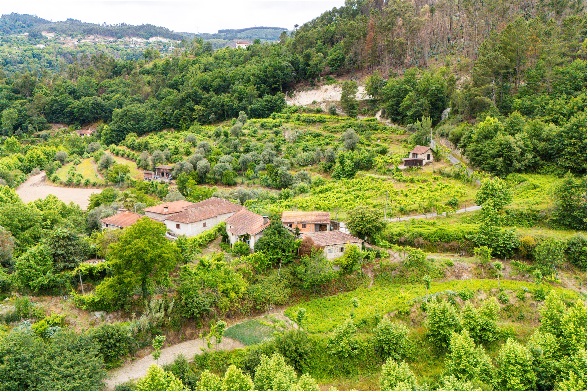 Farm, 3 bedrooms, for Sale - 物件實景