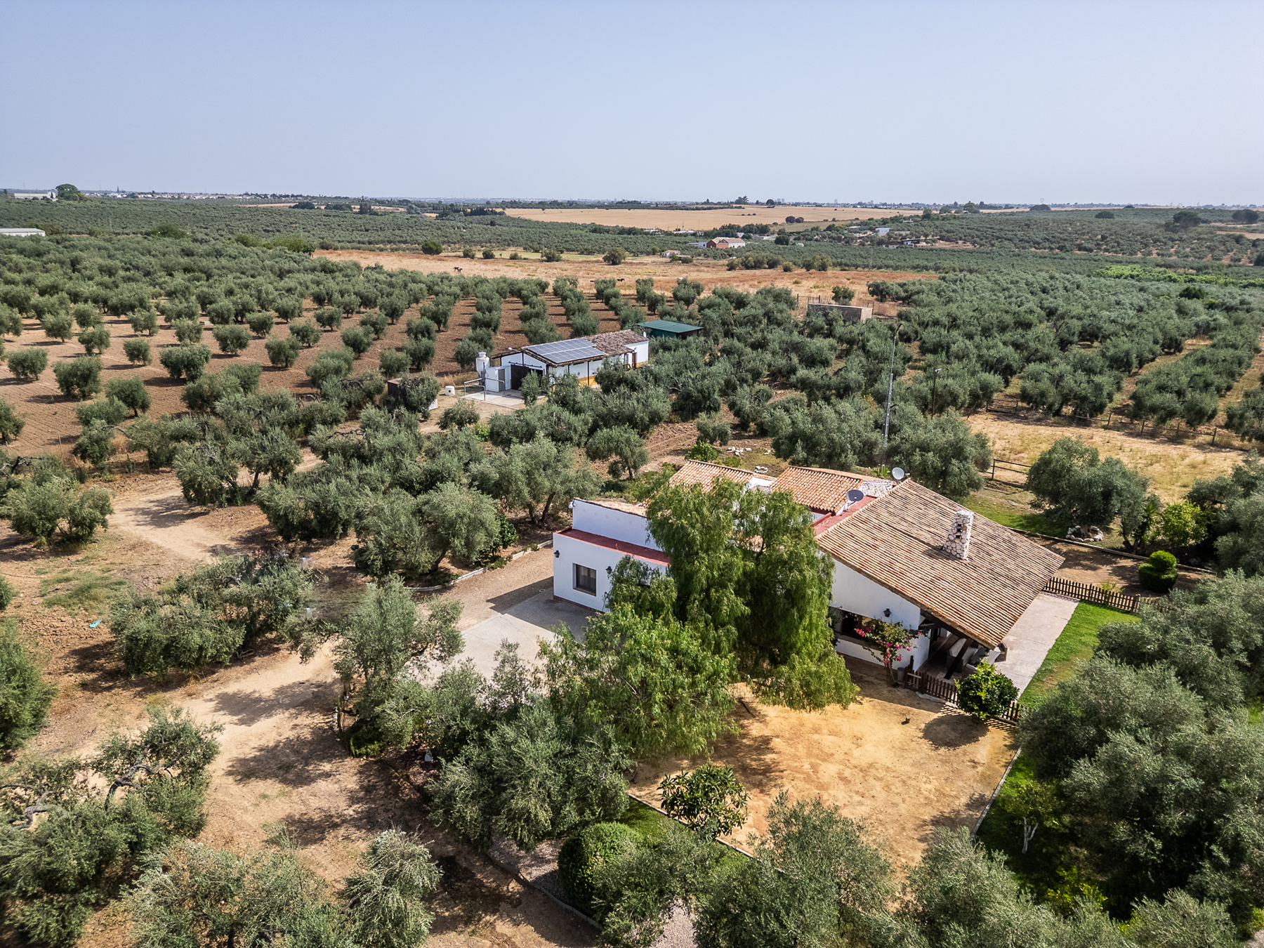  Exclusive equestrian estate next to the Pre-Coto de Doñana - 物件實景