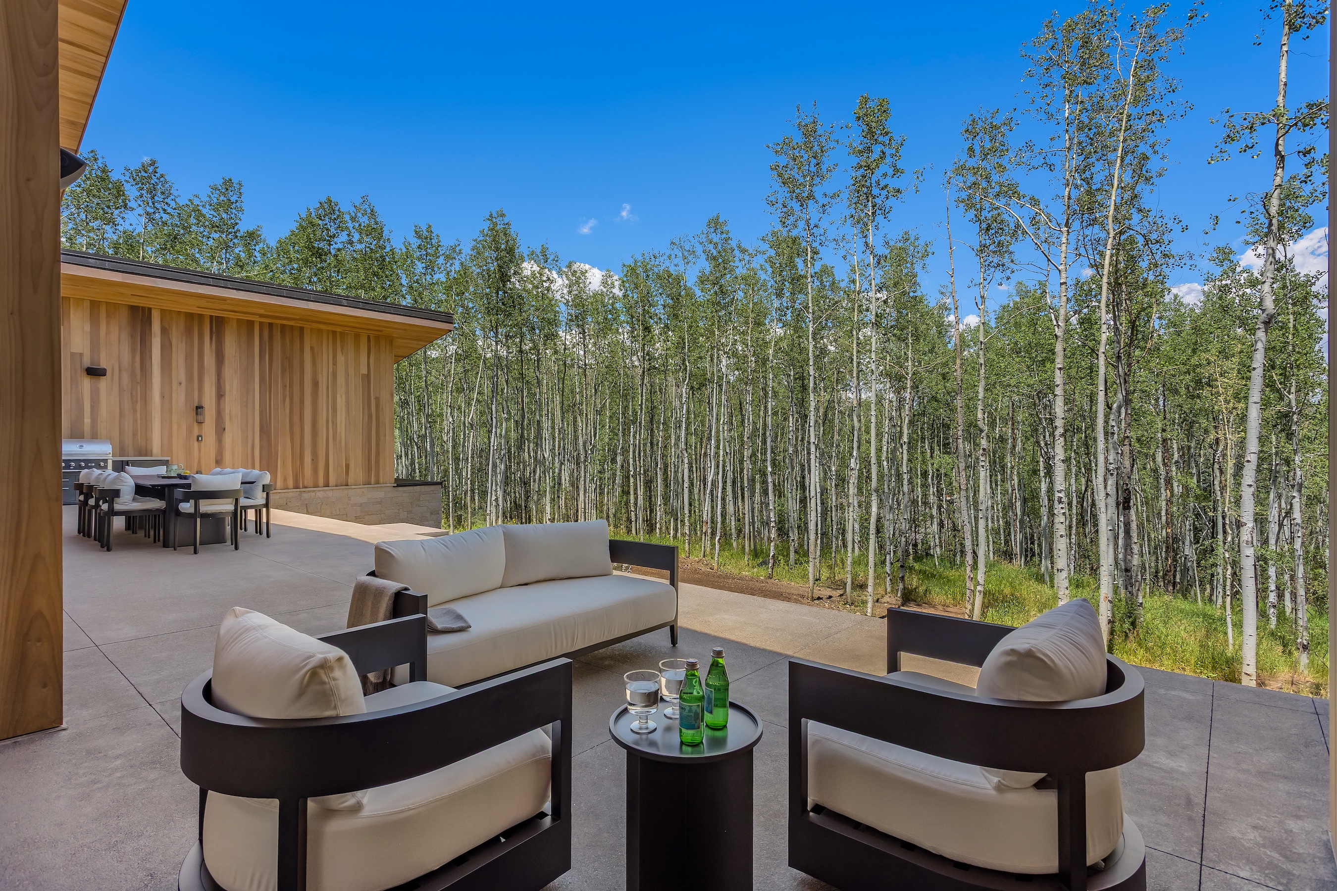 231 Maple Ridge Lane, Snowmass Village, CO 81615 - 物件實景