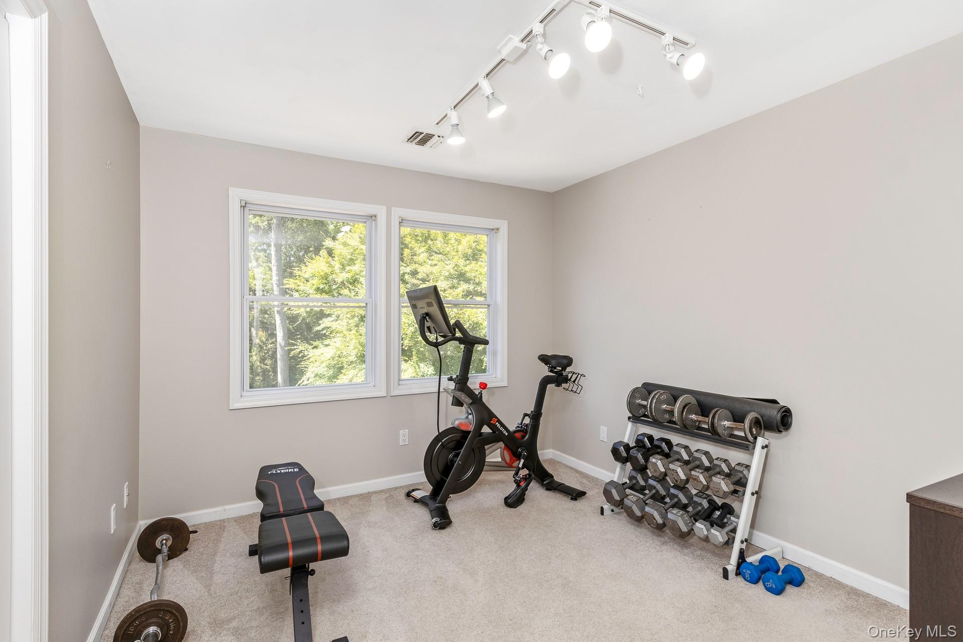  17 Dorfer Lane, Nesconset, NY, 11767 - 物件實景