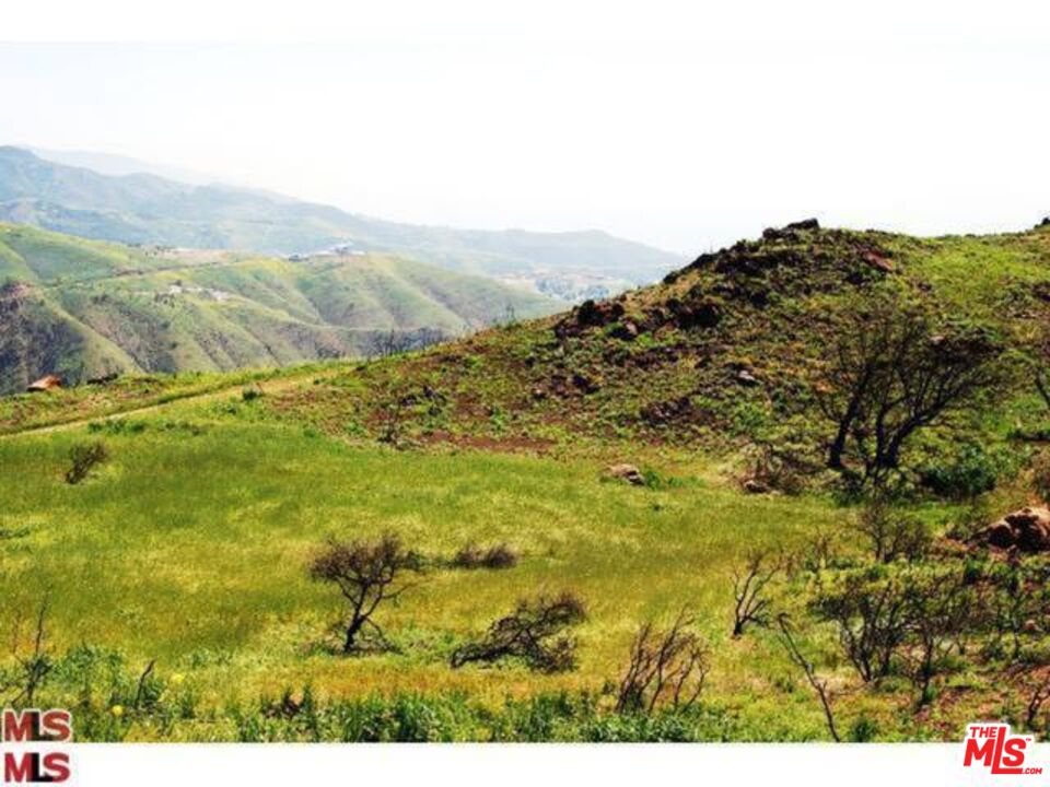 Malibu, California, 90265, United States, ,Land,For Sale,1767391