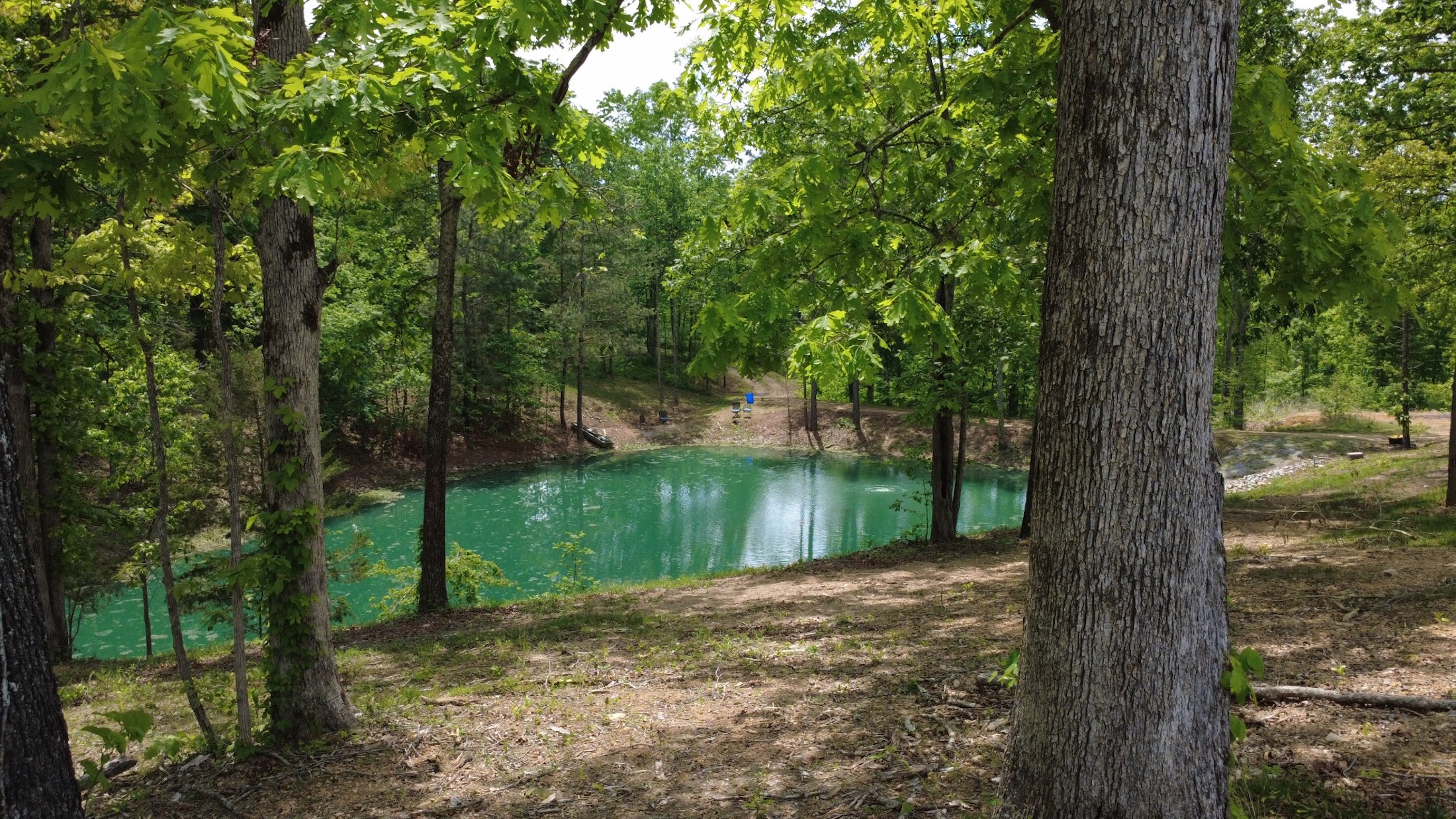 7948 Daugherty Capley Rd, Primm Springs, TN, 38476 - 物件實景