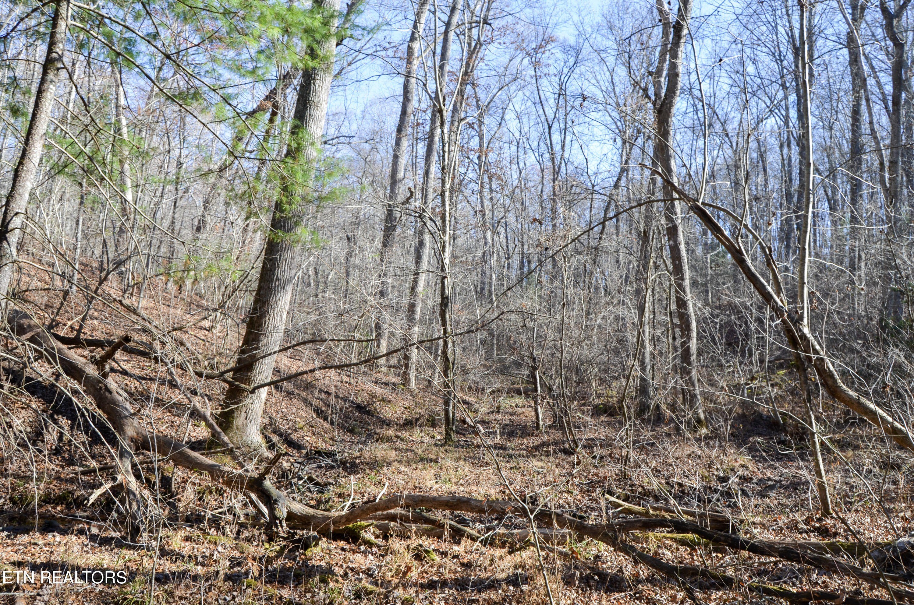 Crossville, Tennessee, 38555, United States, ,Land,For Sale,1978266