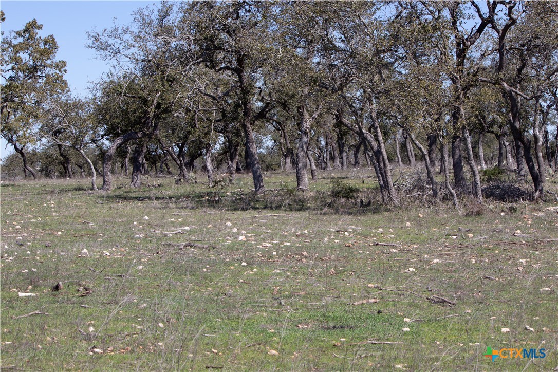 Blanco, Texas, 78606, United States, ,Land,For Sale,1877440