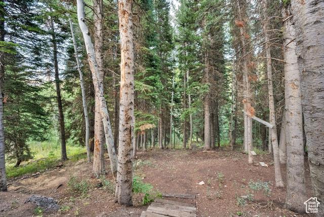 Heber City, Utah, 84032, United States, 5 Bedrooms Bedrooms, ,3 BathroomsBathrooms,Residential,For Sale,1923523