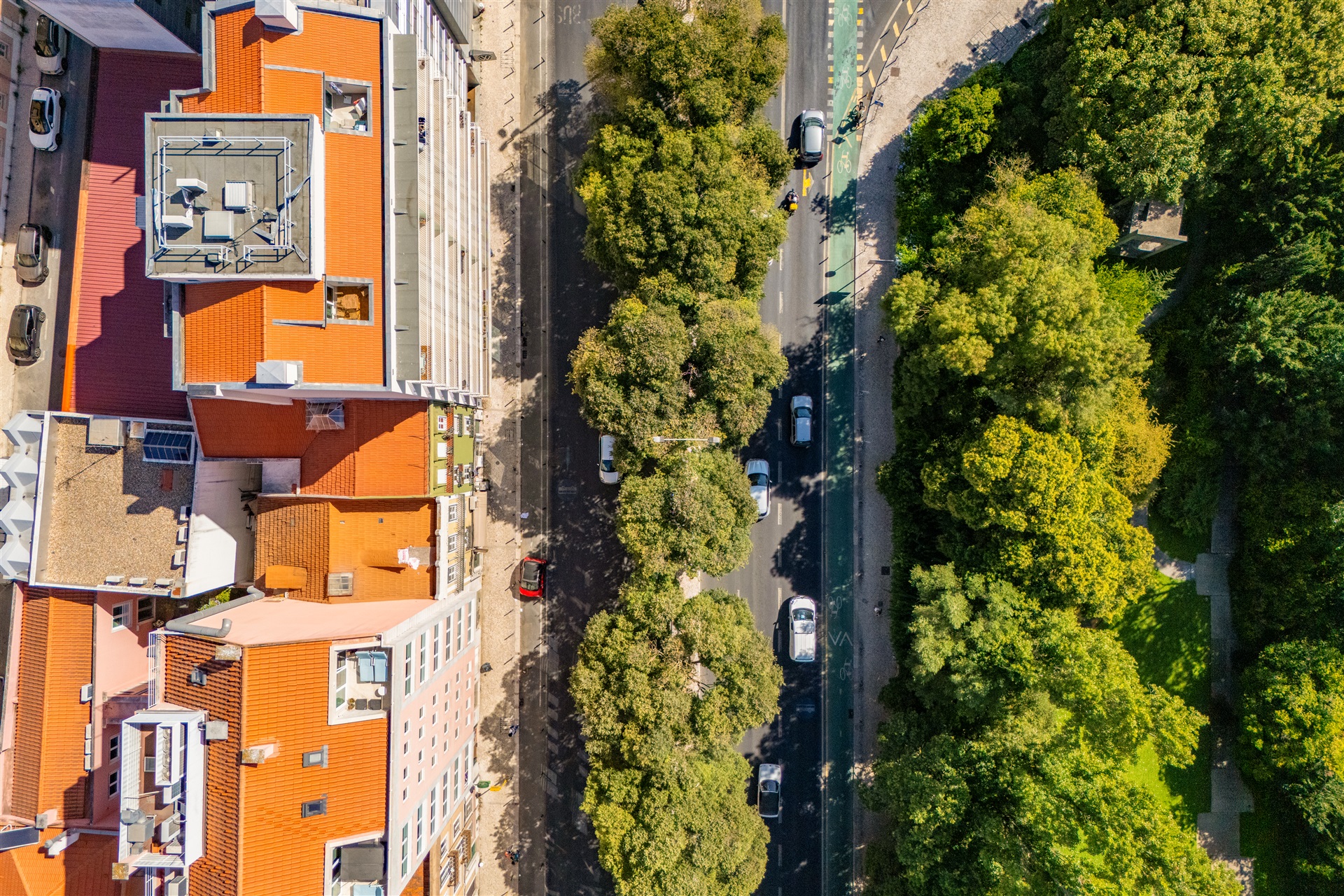  Building, 11 bedrooms, for Sale - 物件實景