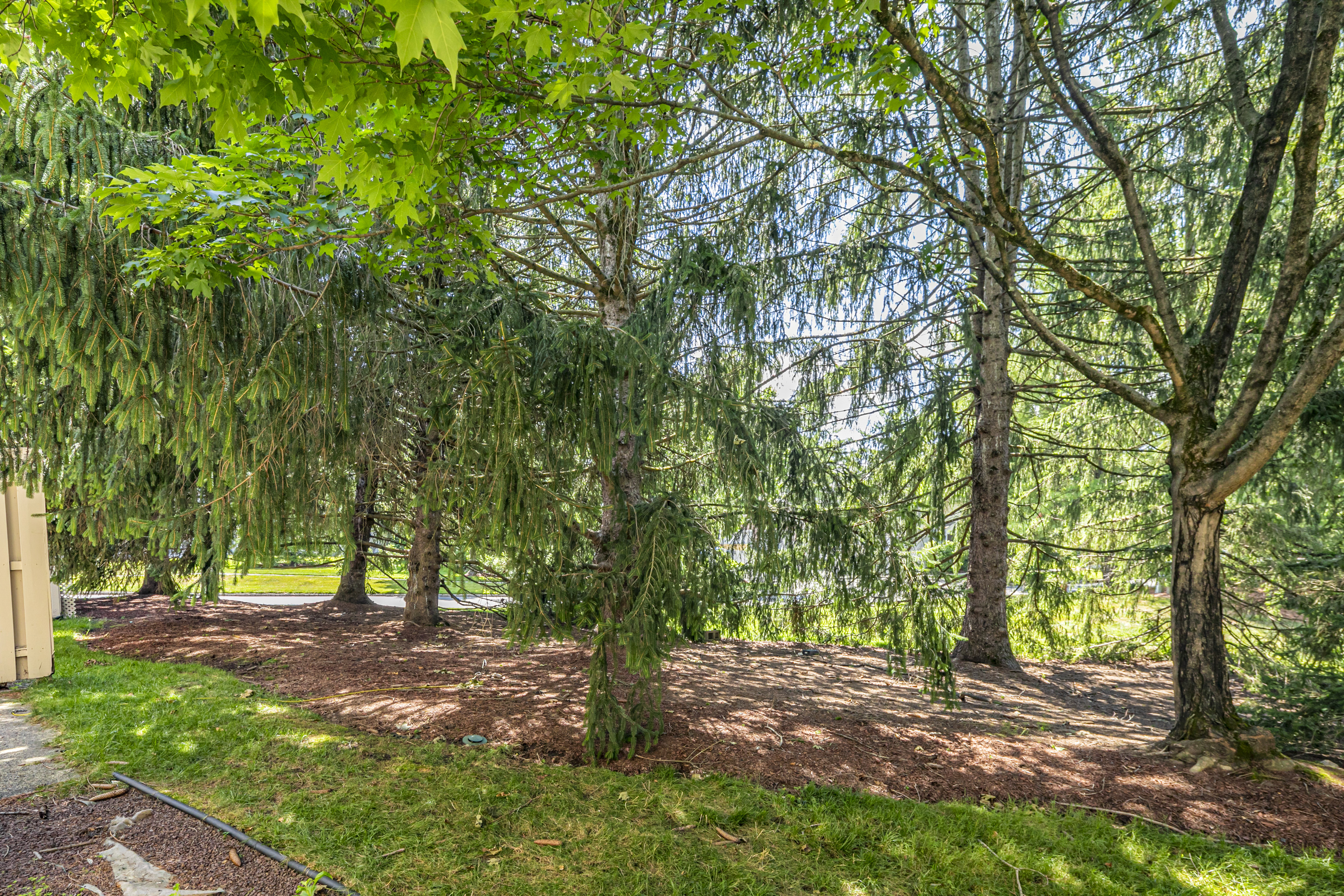  Beautifully Updated, Wonderfully Located near Princeton - 物件實景