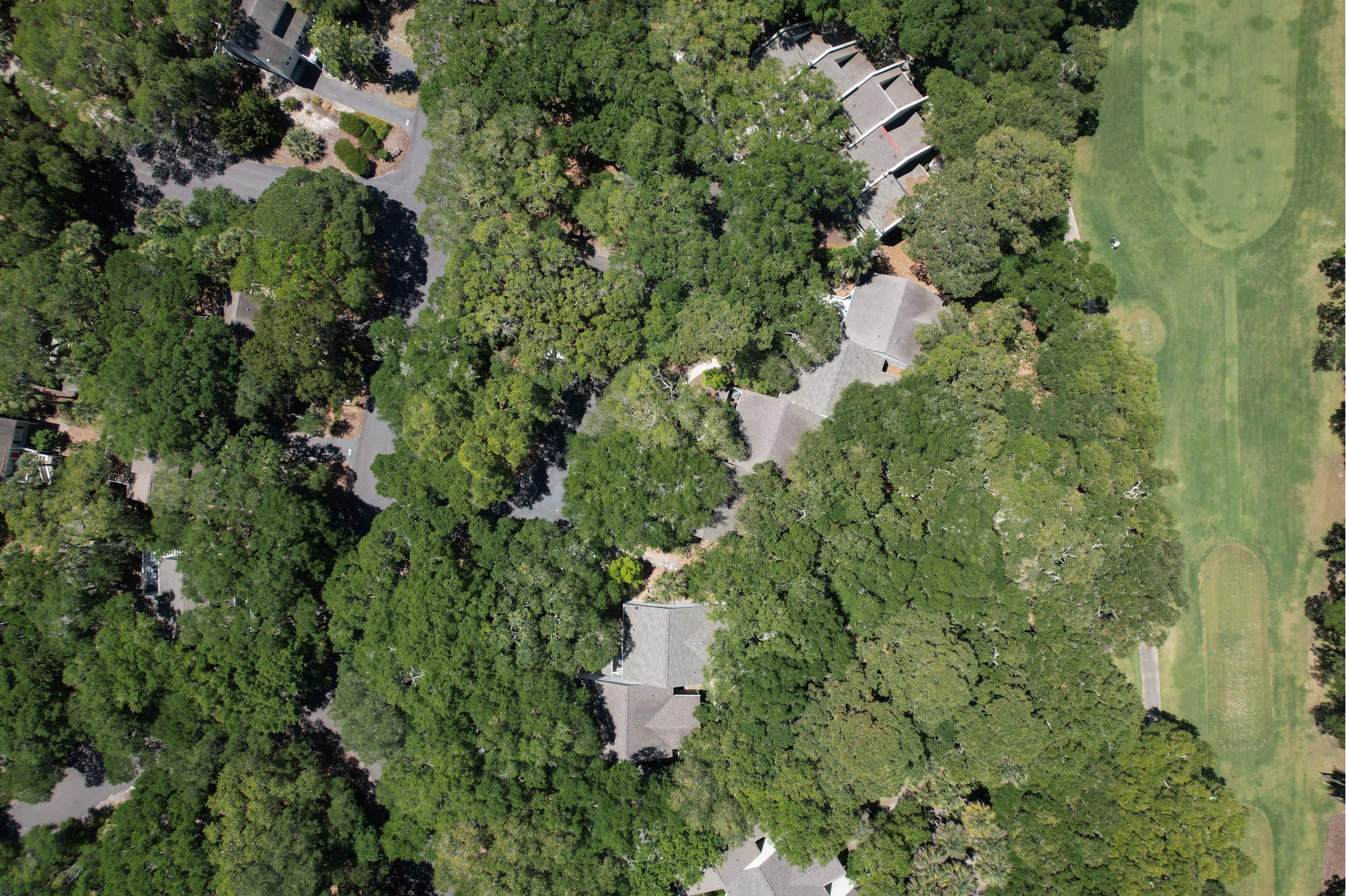  624 Double Eagle Trace, Seabrook Island - 物件實景