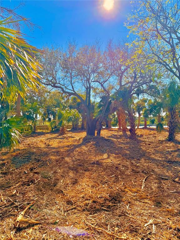 Ormond Beach, Florida, 32176, United States, ,Land,For Sale,1743794