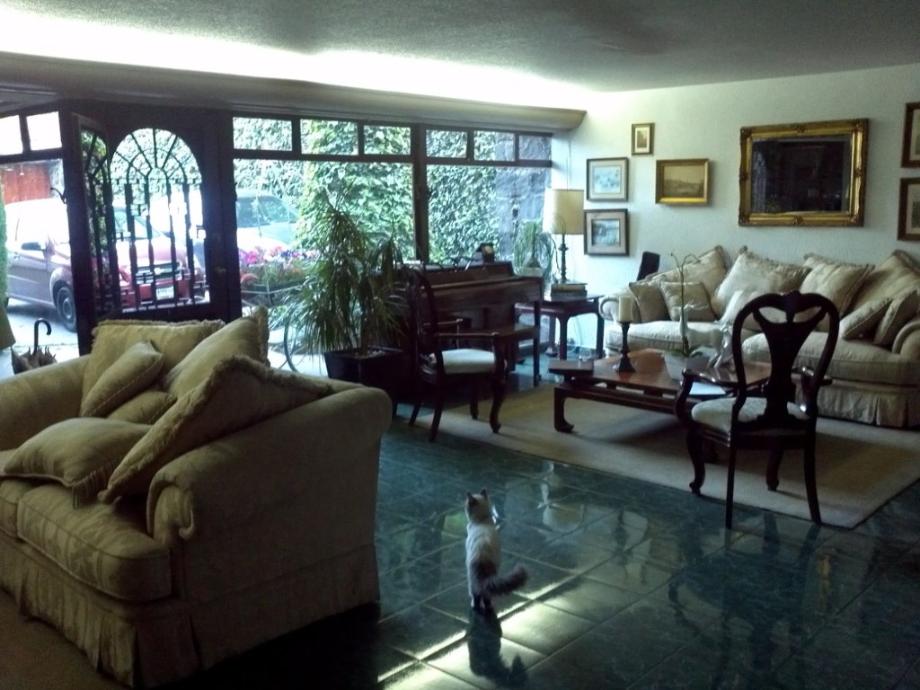 Begonias, Álvaro Obregón, Ciudad de México, 01060, Mexico, 4 Bedrooms Bedrooms, ,4 BathroomsBathrooms,Residential,For Sale,Begonias,1415971